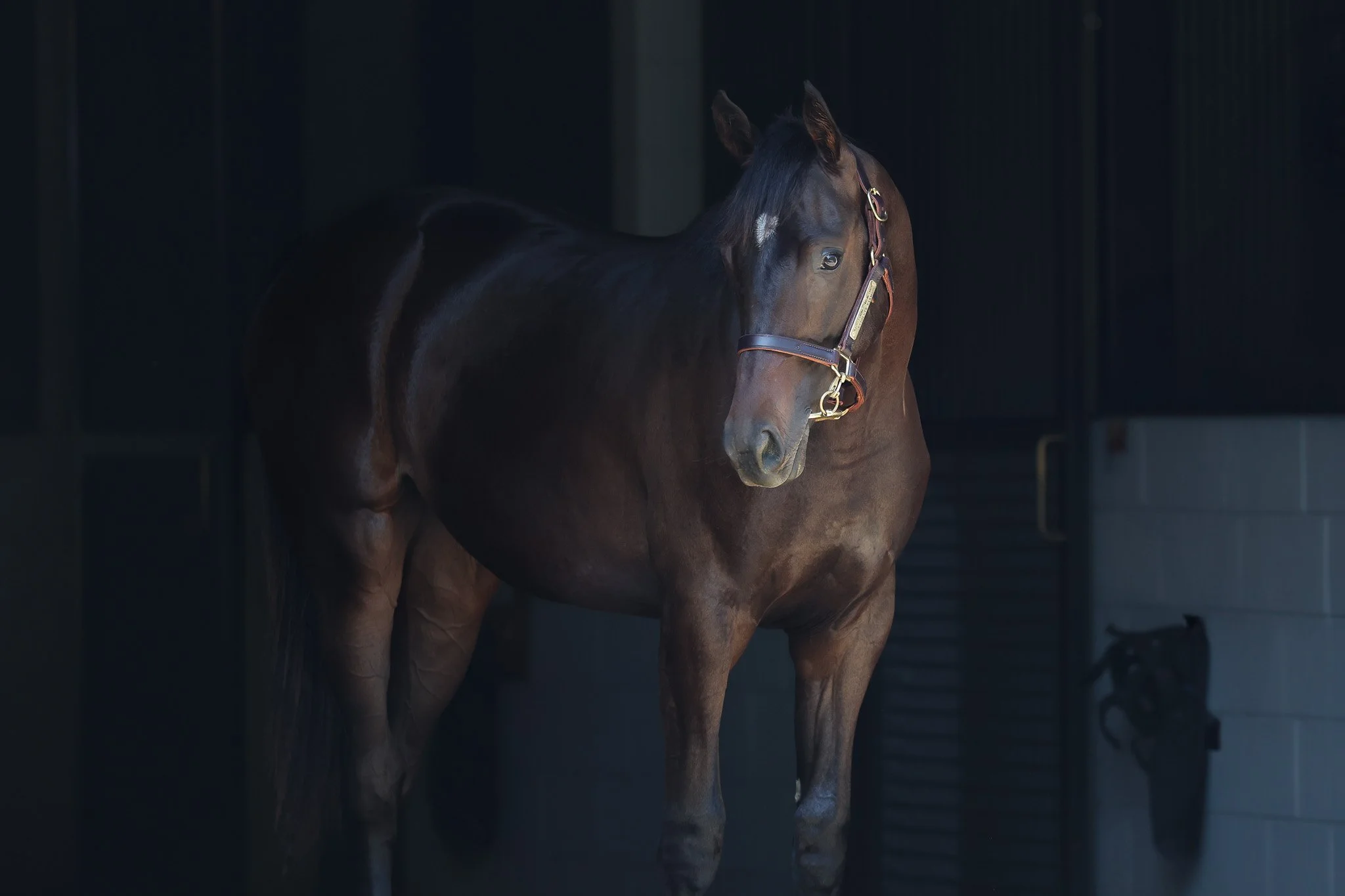 Twirling Candy / Lovely Carina