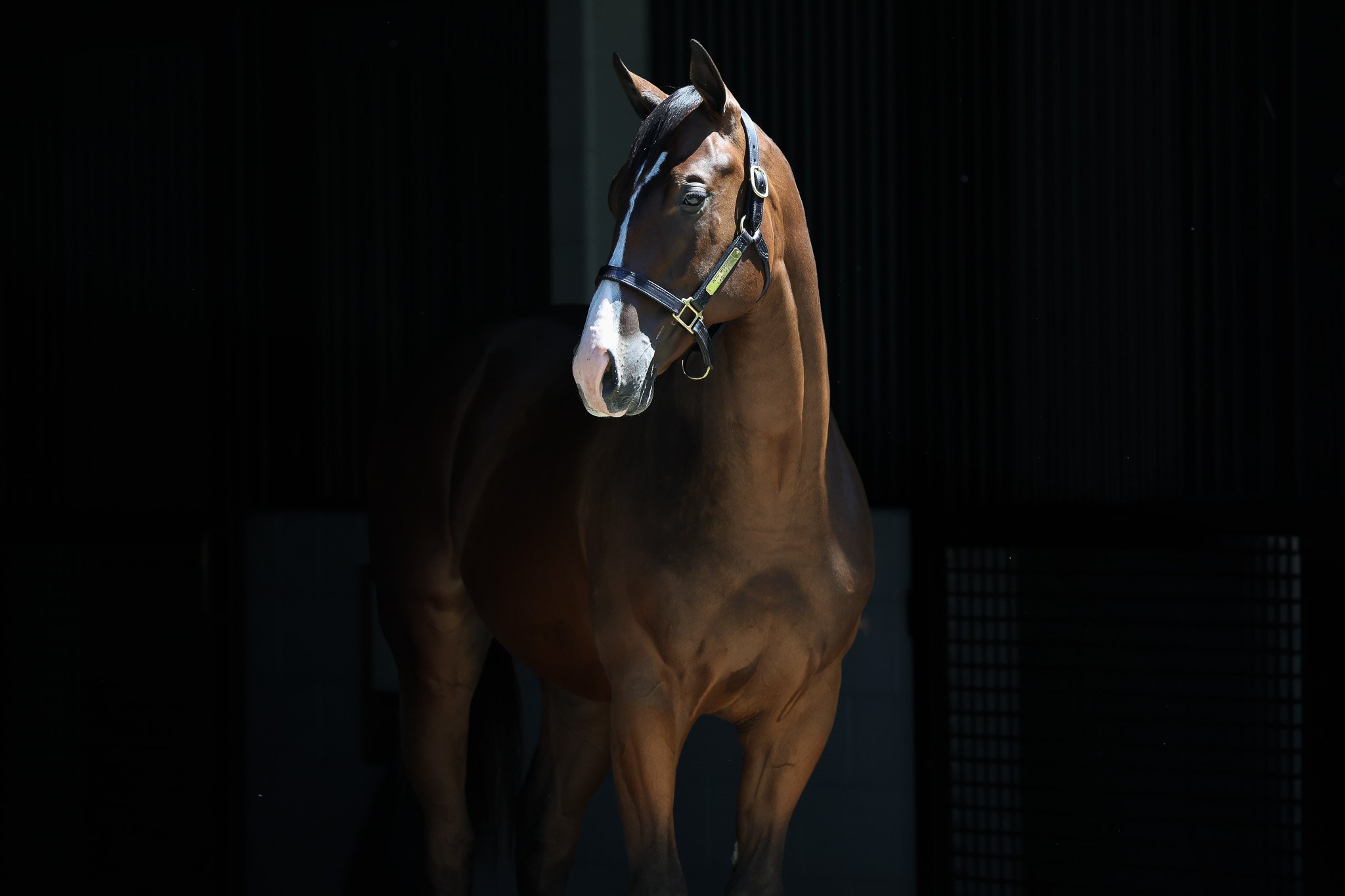 24 Lady Kate HS 8.8.25  .jpg