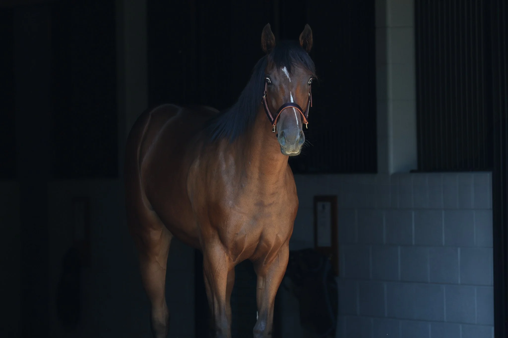 24 Indian Mound HS 6.27.25.jpg