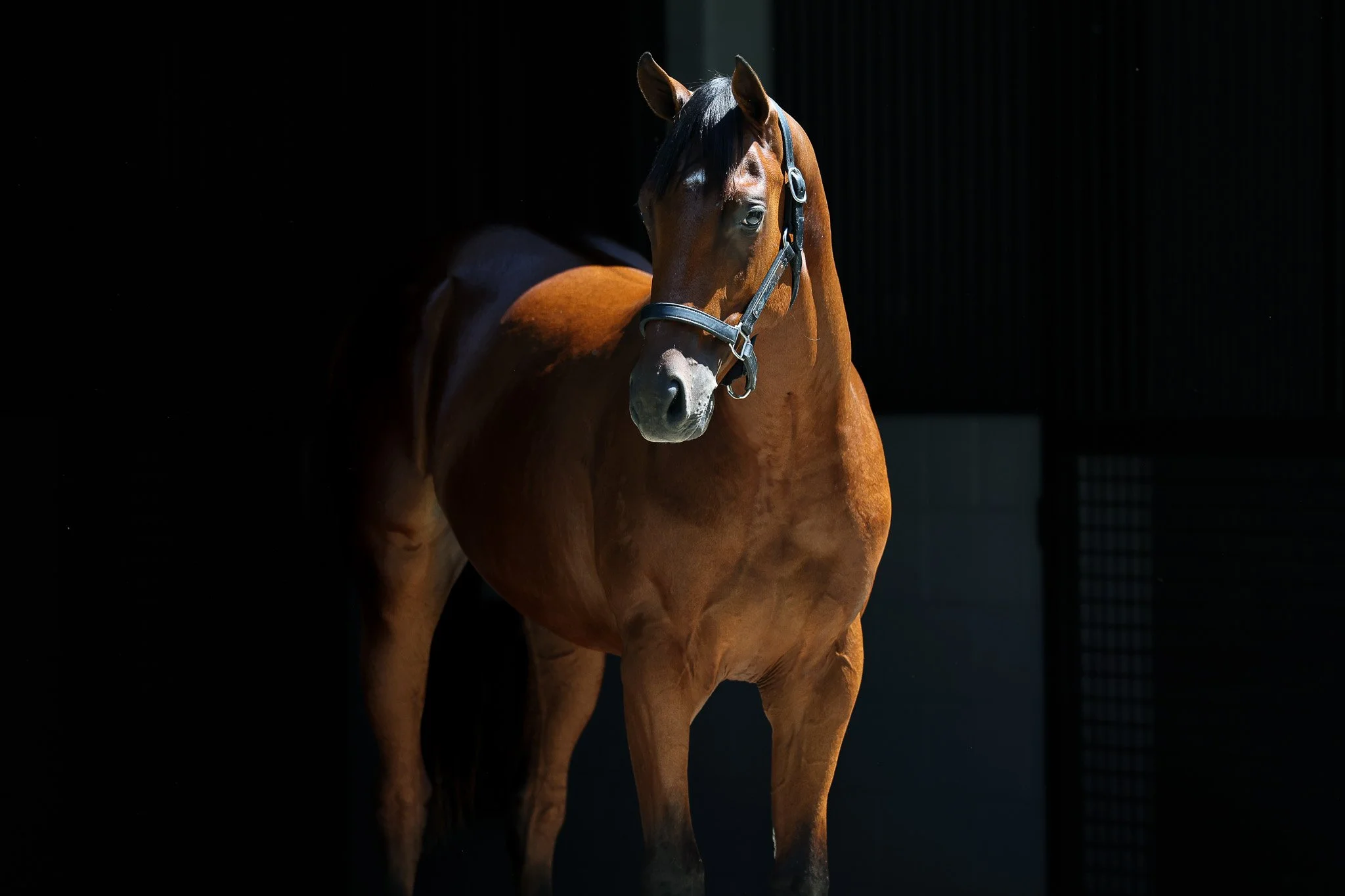 24 Hennesey Smash HS 8.8.25  3.jpg