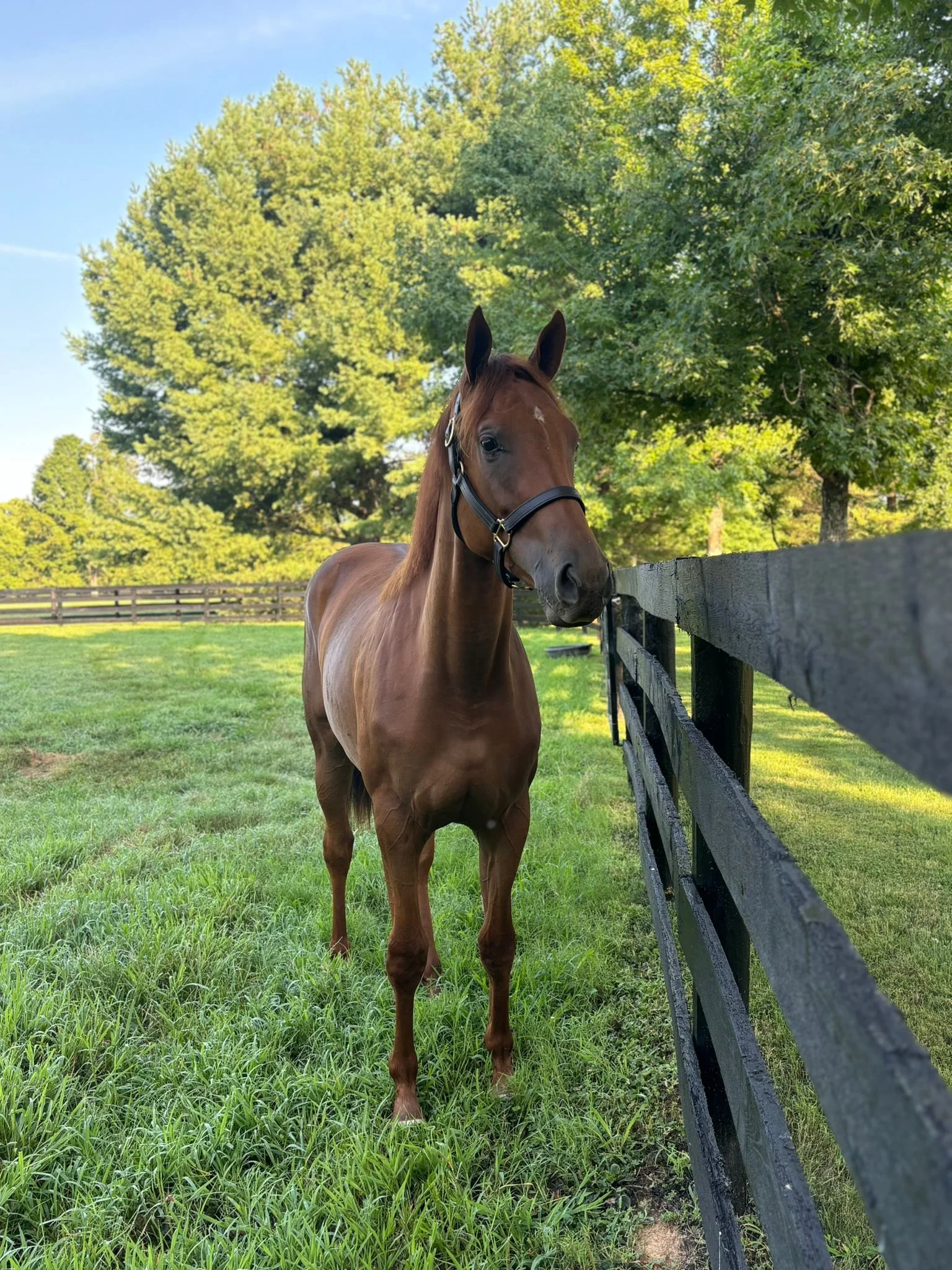  On the farm in Aug 2025 