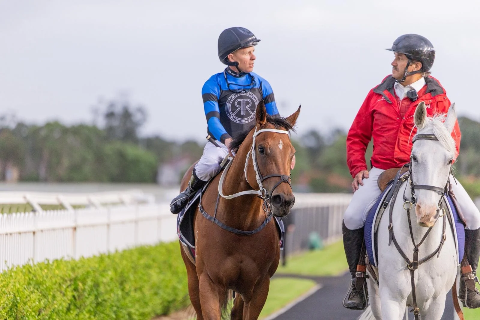 Ernaux WIN 11.14.25. 3.jpeg