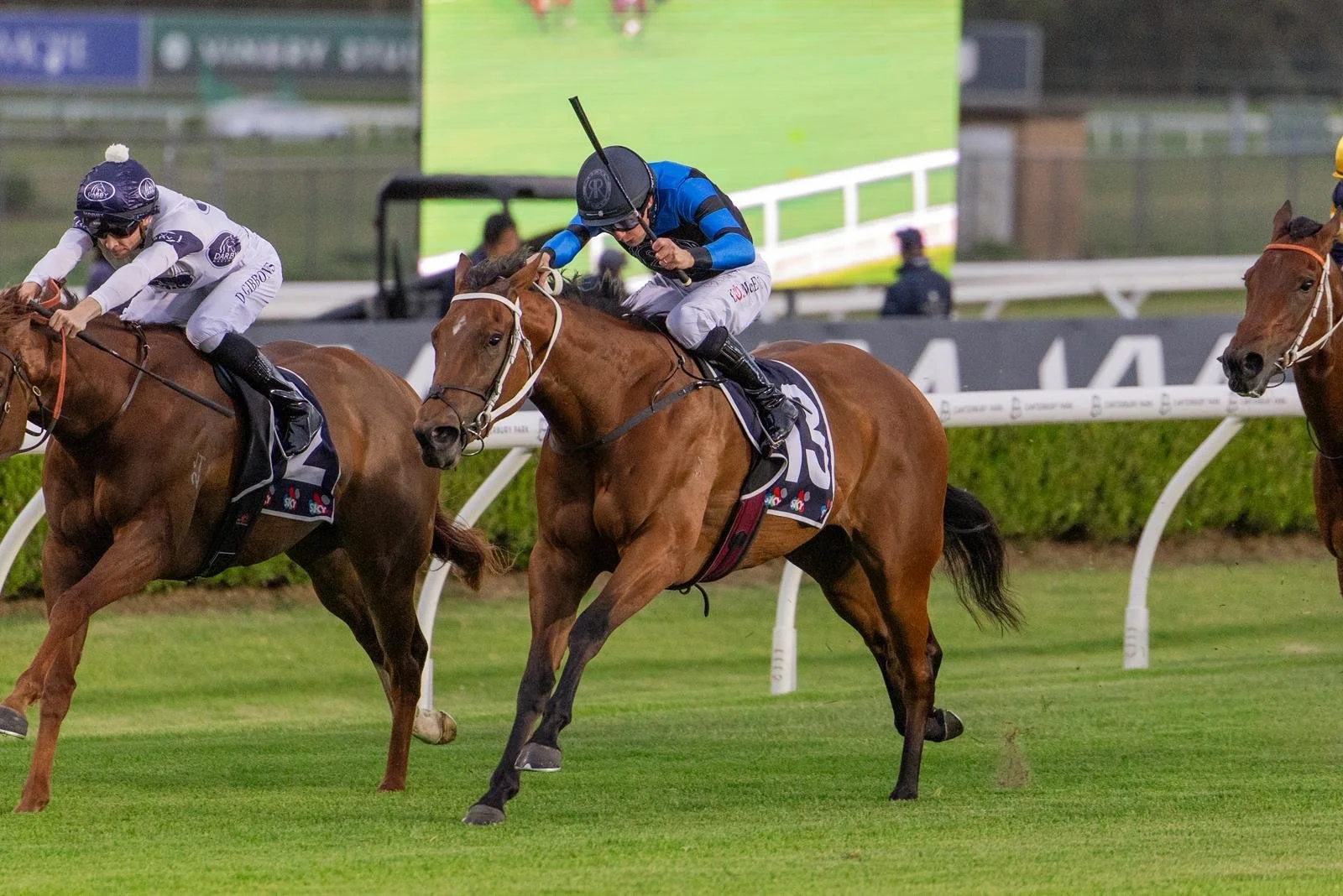 Ernaux WIN 11.14.25.jpeg