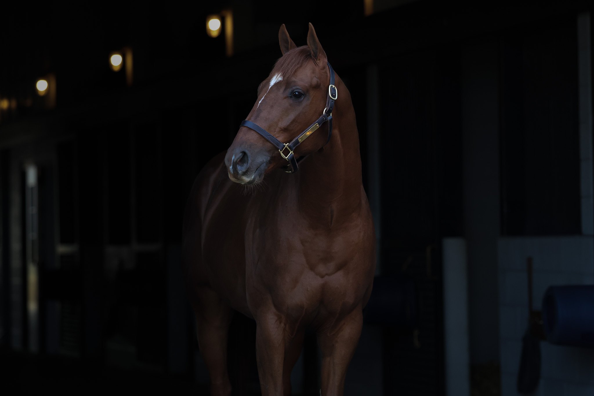 Jacques Cousteau HS 11.14.25.jpg