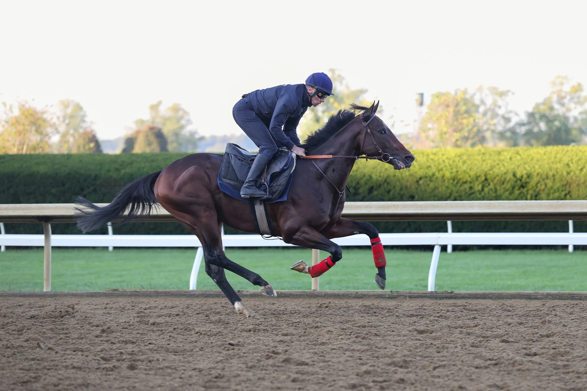 Woodshauna TR 9.30.25  3.jpg