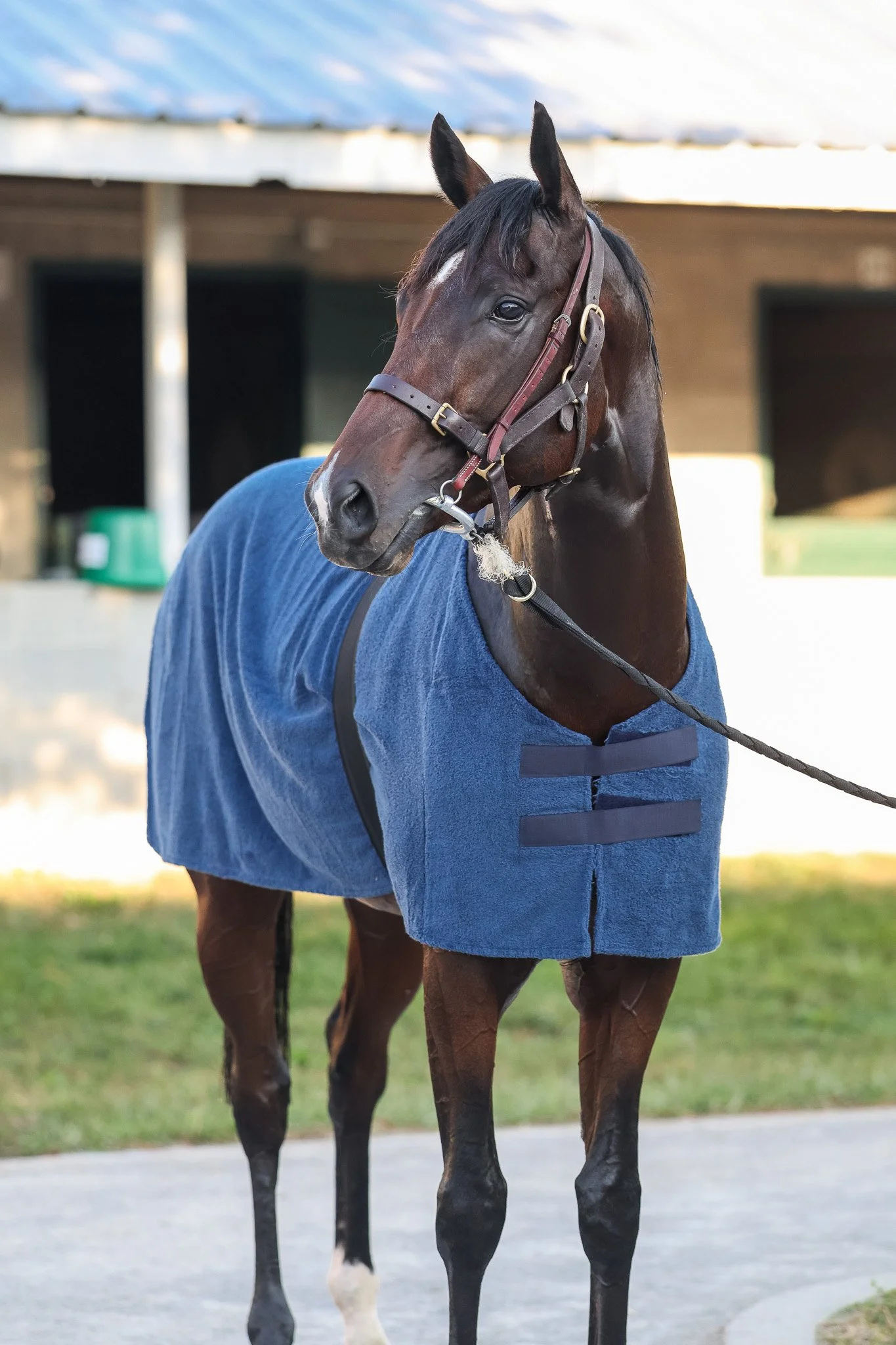 Woodshauna TR 9.30.25  6.jpg