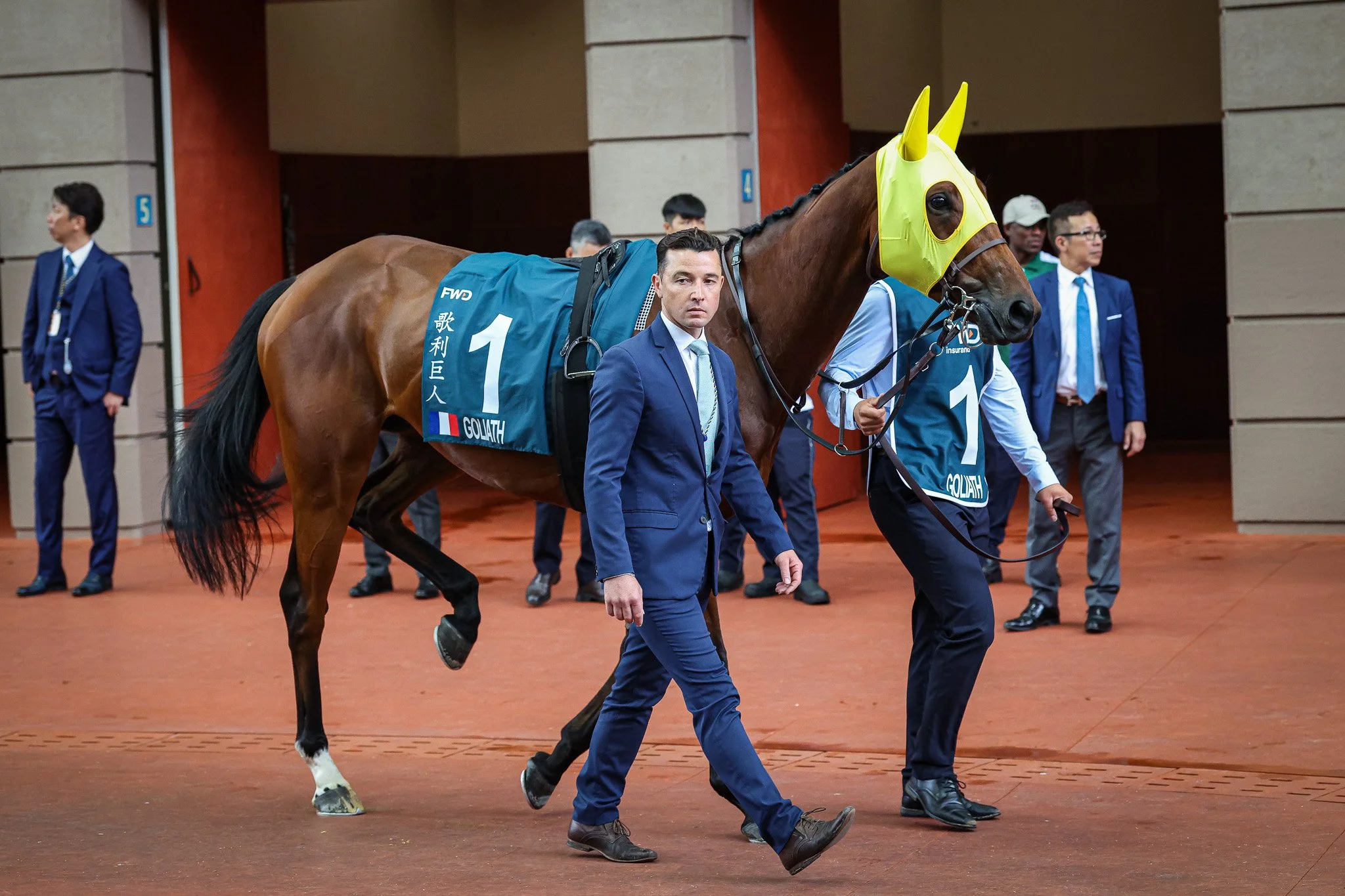 Goliath HK 4.27.25 3.jpg