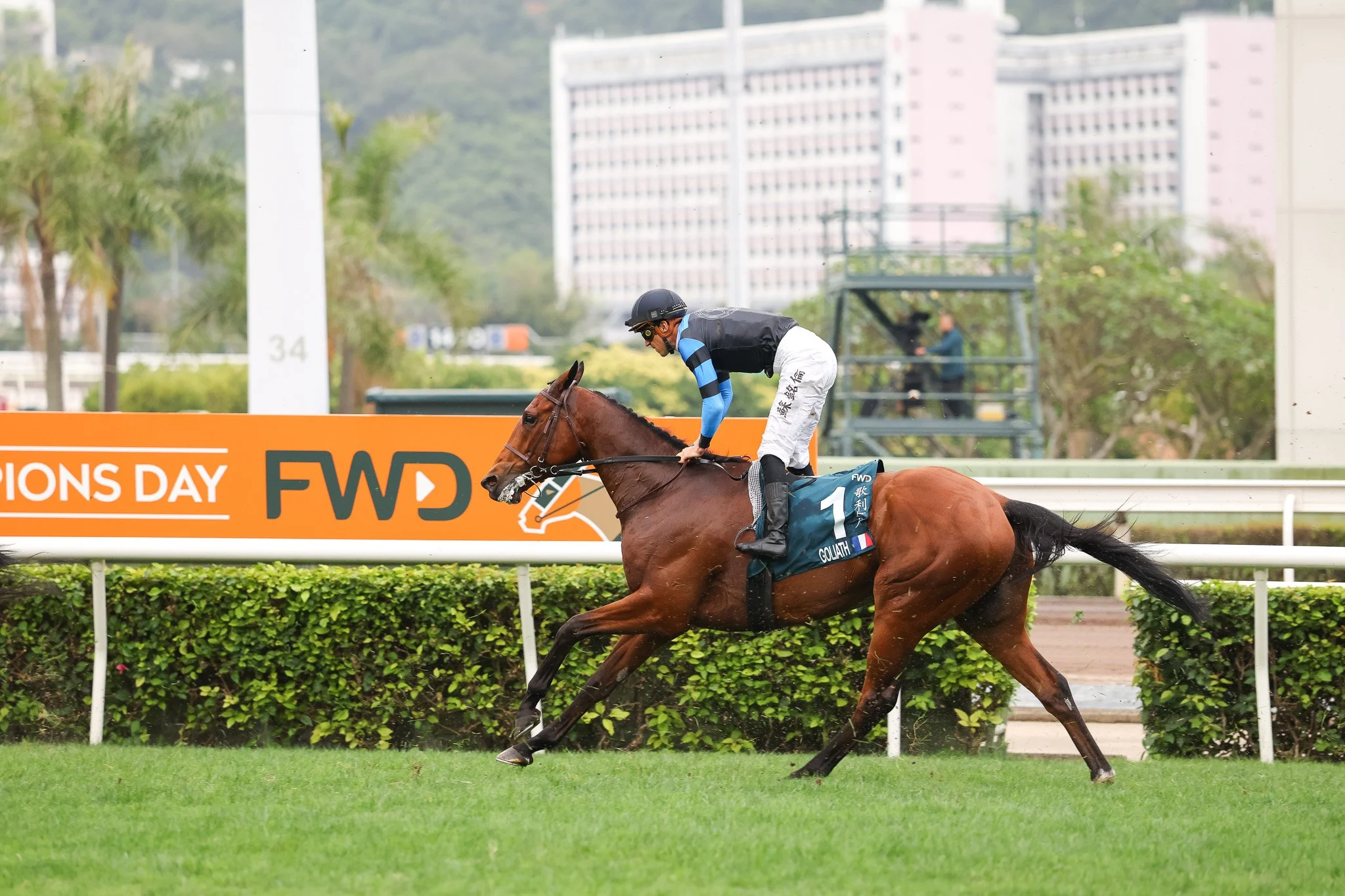 Goliath HK 4.27.25 11.jpg