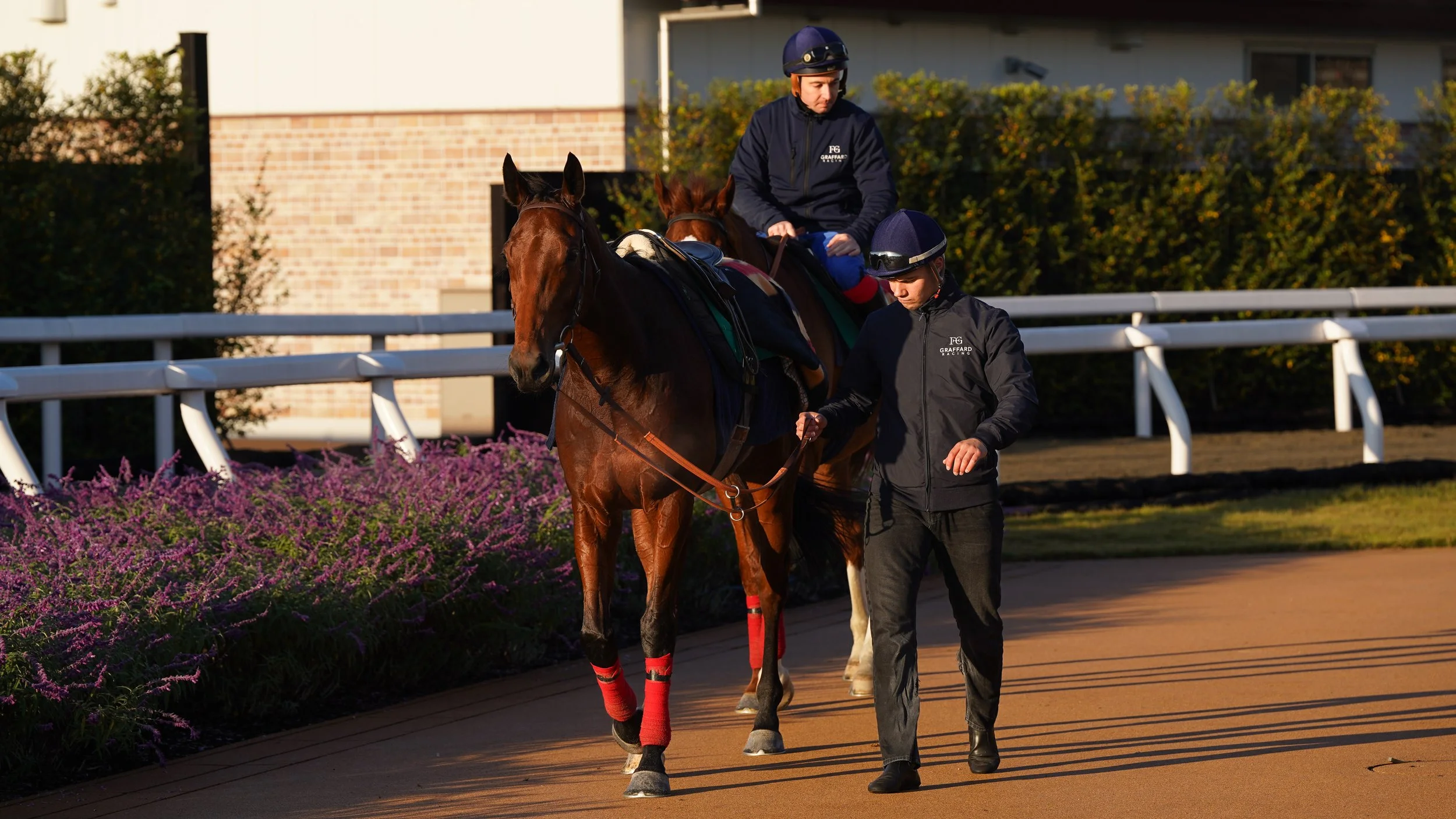Goliath in Japan. 2.jpg