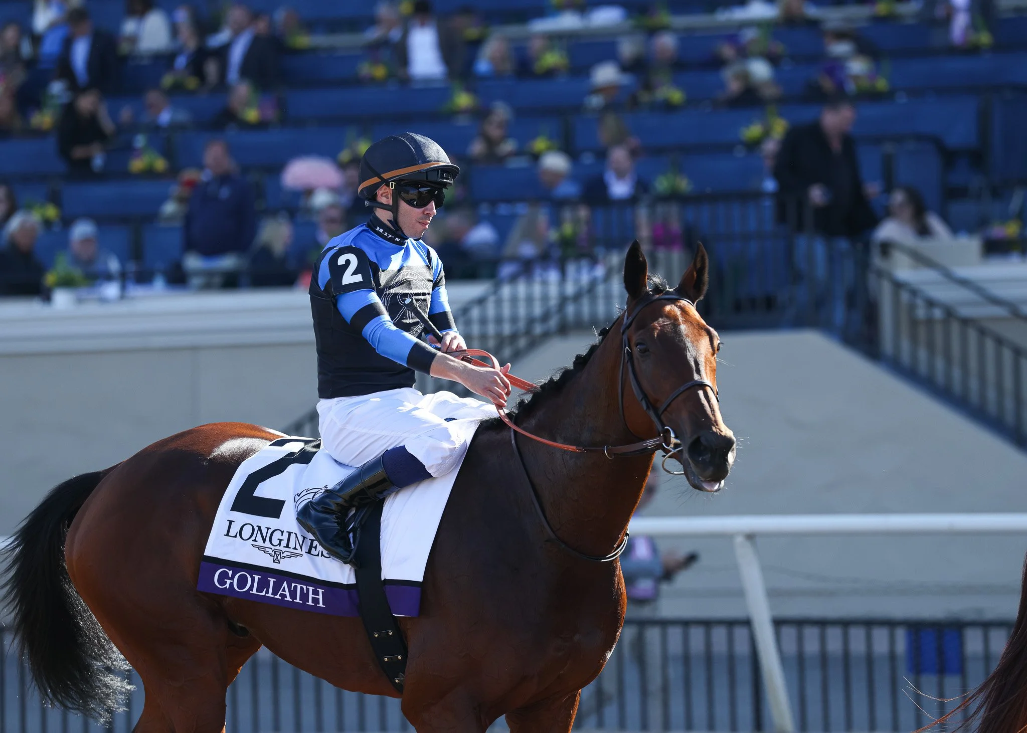  2025 Breeder’s Cup Turf post Parade 