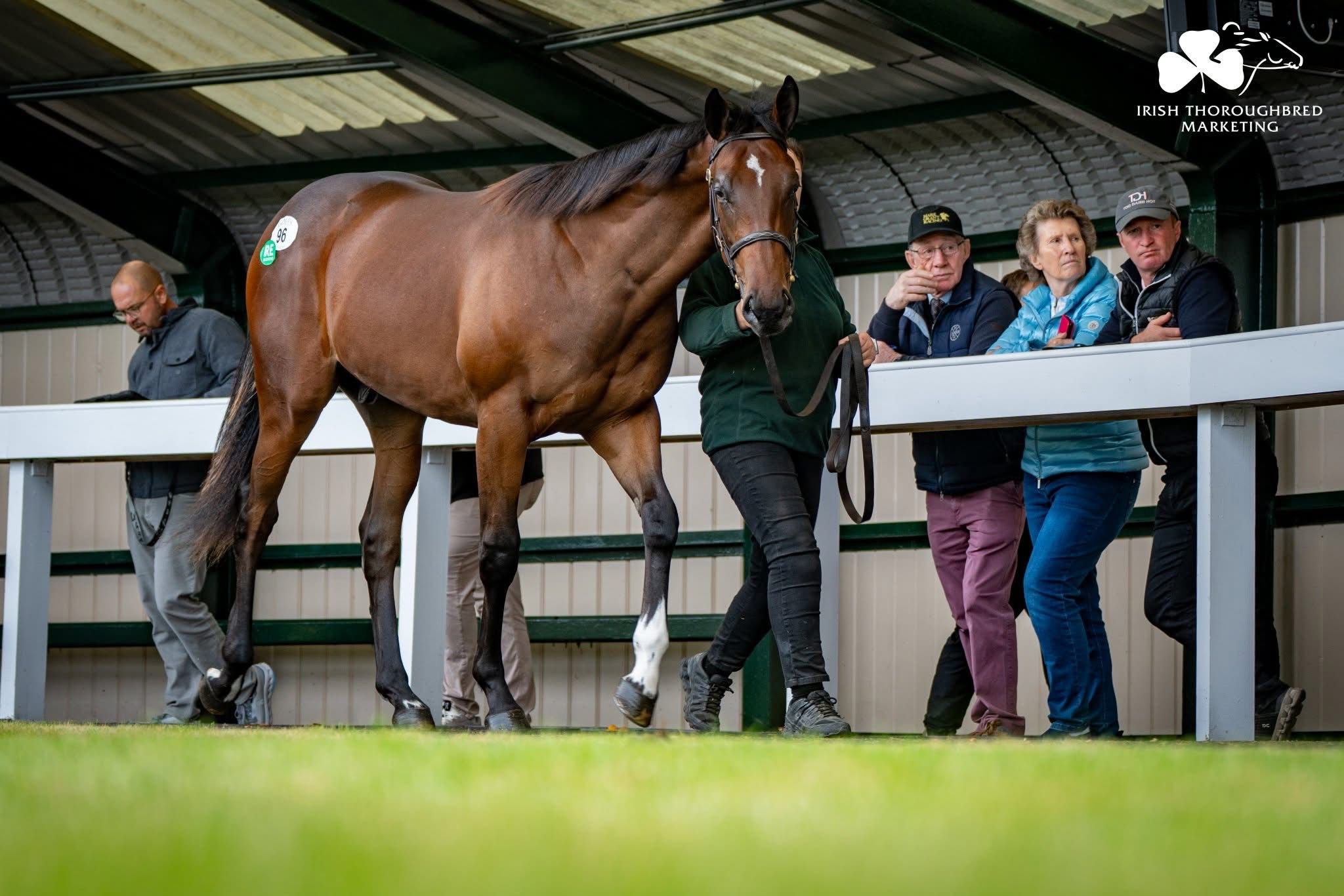 WhatsApp Image 2025-09-29 at 13.11.17.jpeg