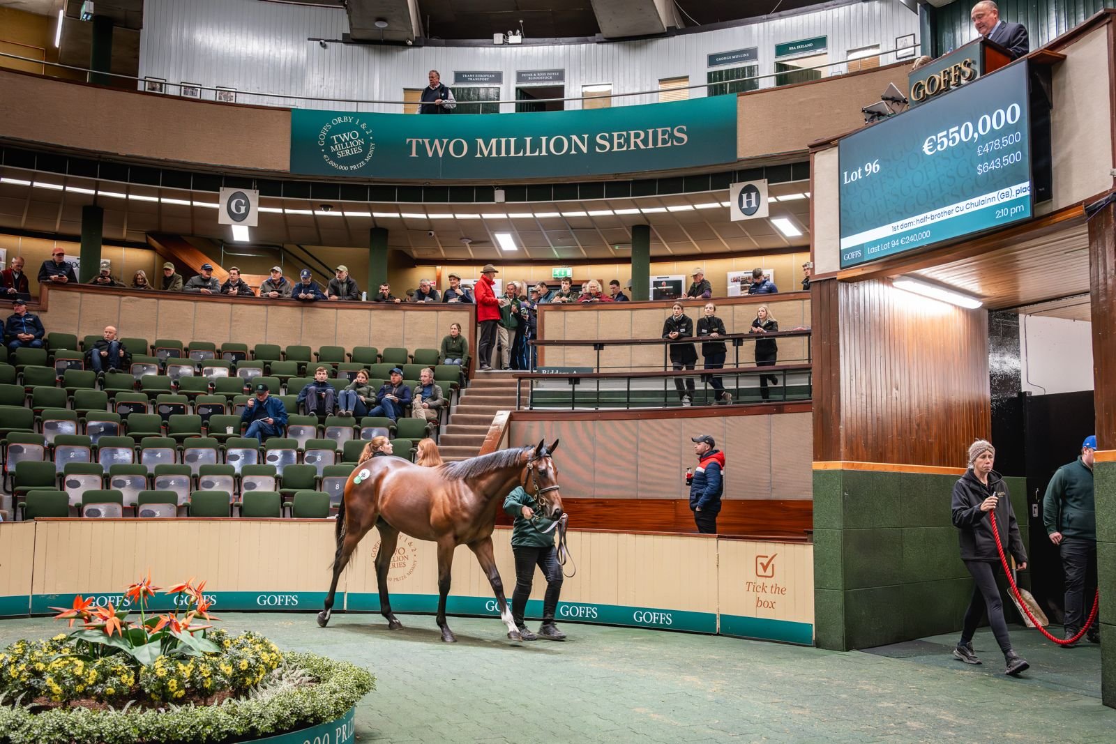 WhatsApp Image 2025-09-29 at 15.46.31.jpeg