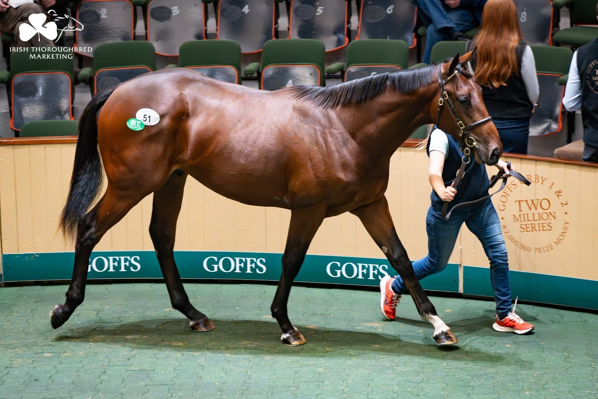 WhatsApp Image 2025-09-29 at 13.11.36.jpeg