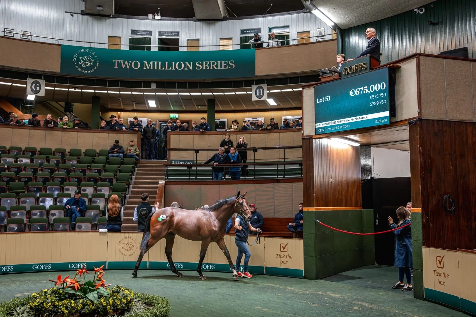 WhatsApp Image 2025-09-29 at 15.46.30.jpeg