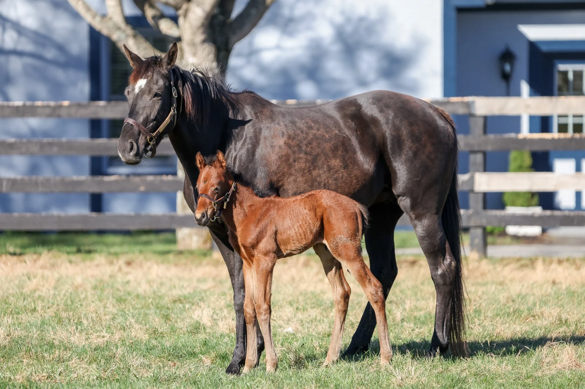 25 Victorium PP 3.21.25  3.jpg