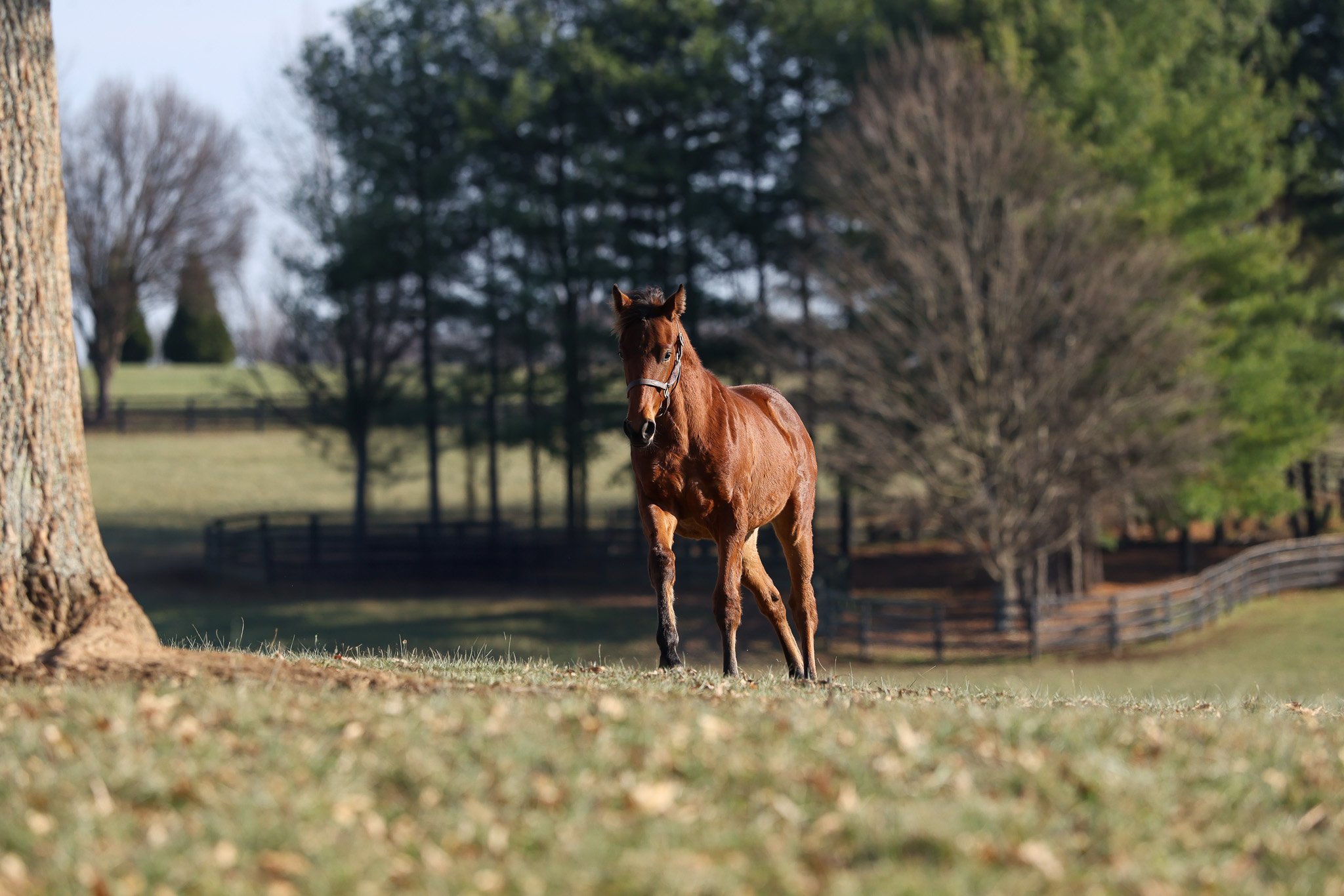 25 Victorium PP 11.2025. 4.jpg