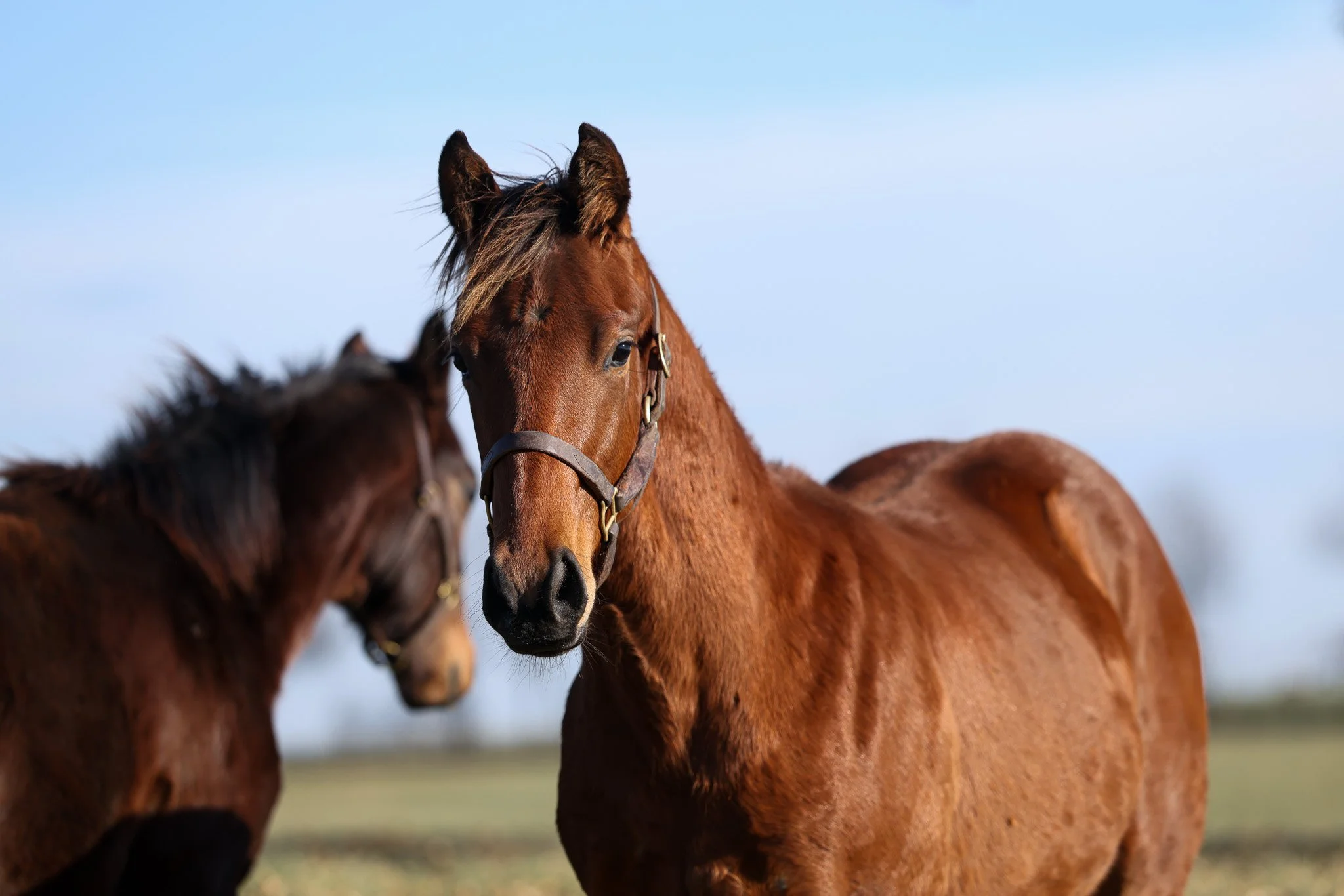 25 Victorium PP 11.2025. 5.jpg