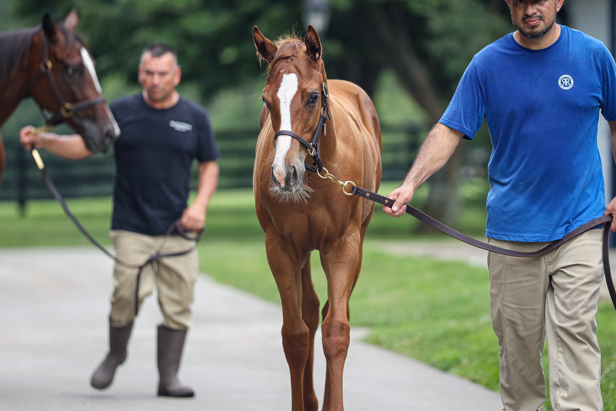 25 TOuching Beauty barn 7.17.25  .2.jpg