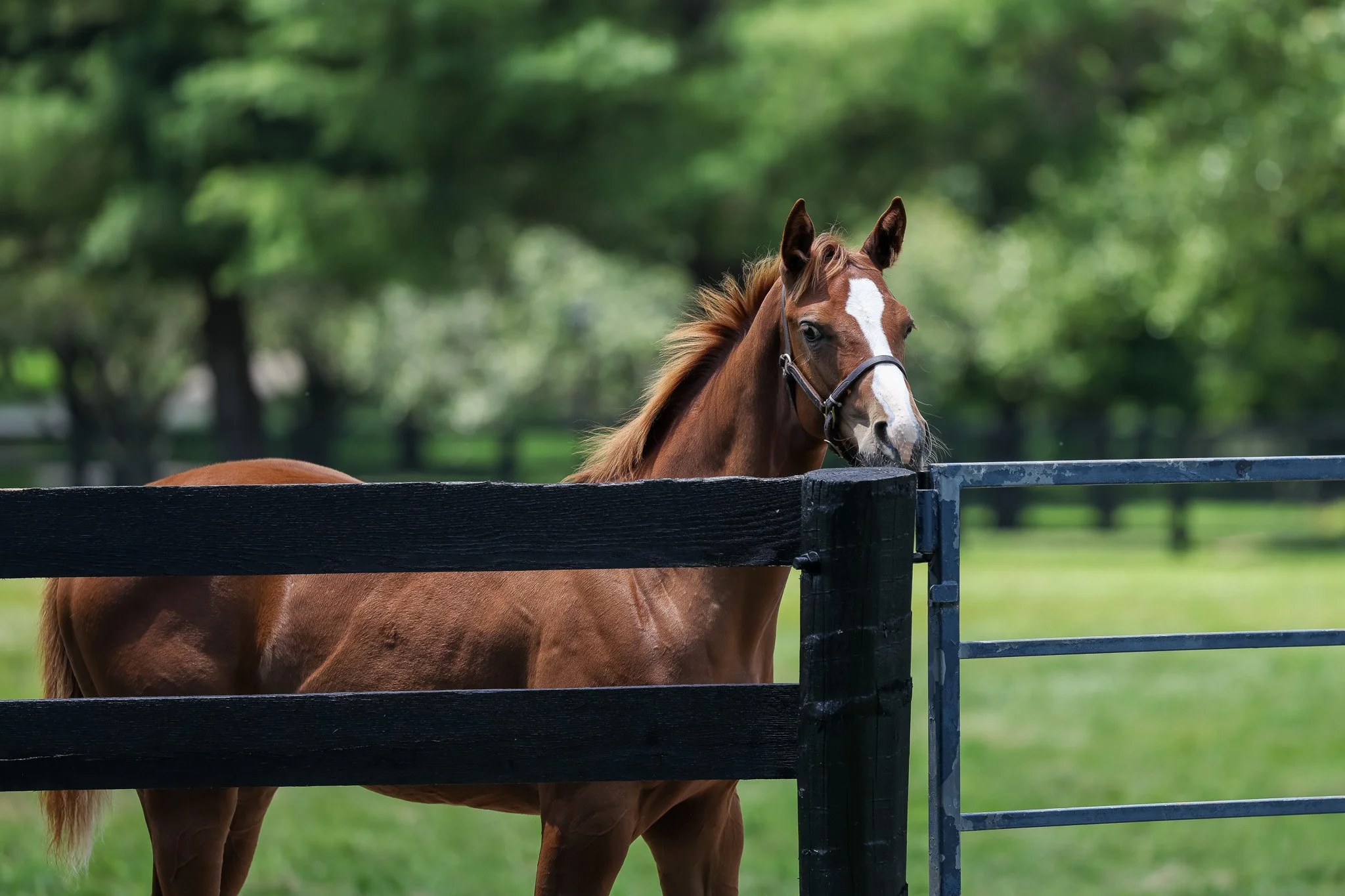 25 Touching Beauty PP 7.3.25.jpg