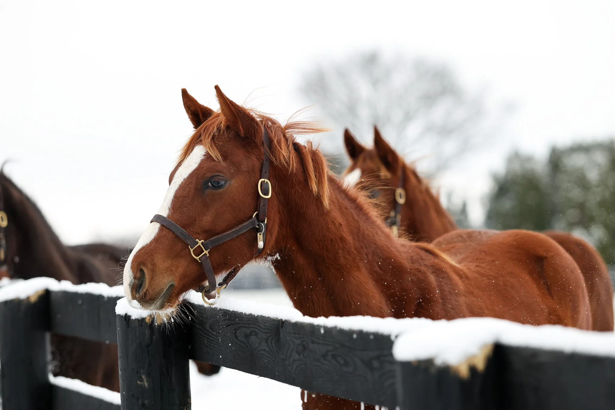 25 TOuching Beauty PP 12.2.25. 4.jpg