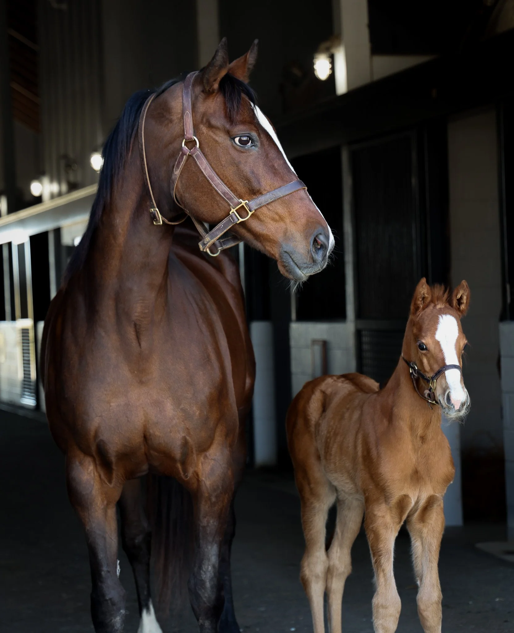 Touching Beauty & 25 Touching Beauty Hs 3.11.25.jpg