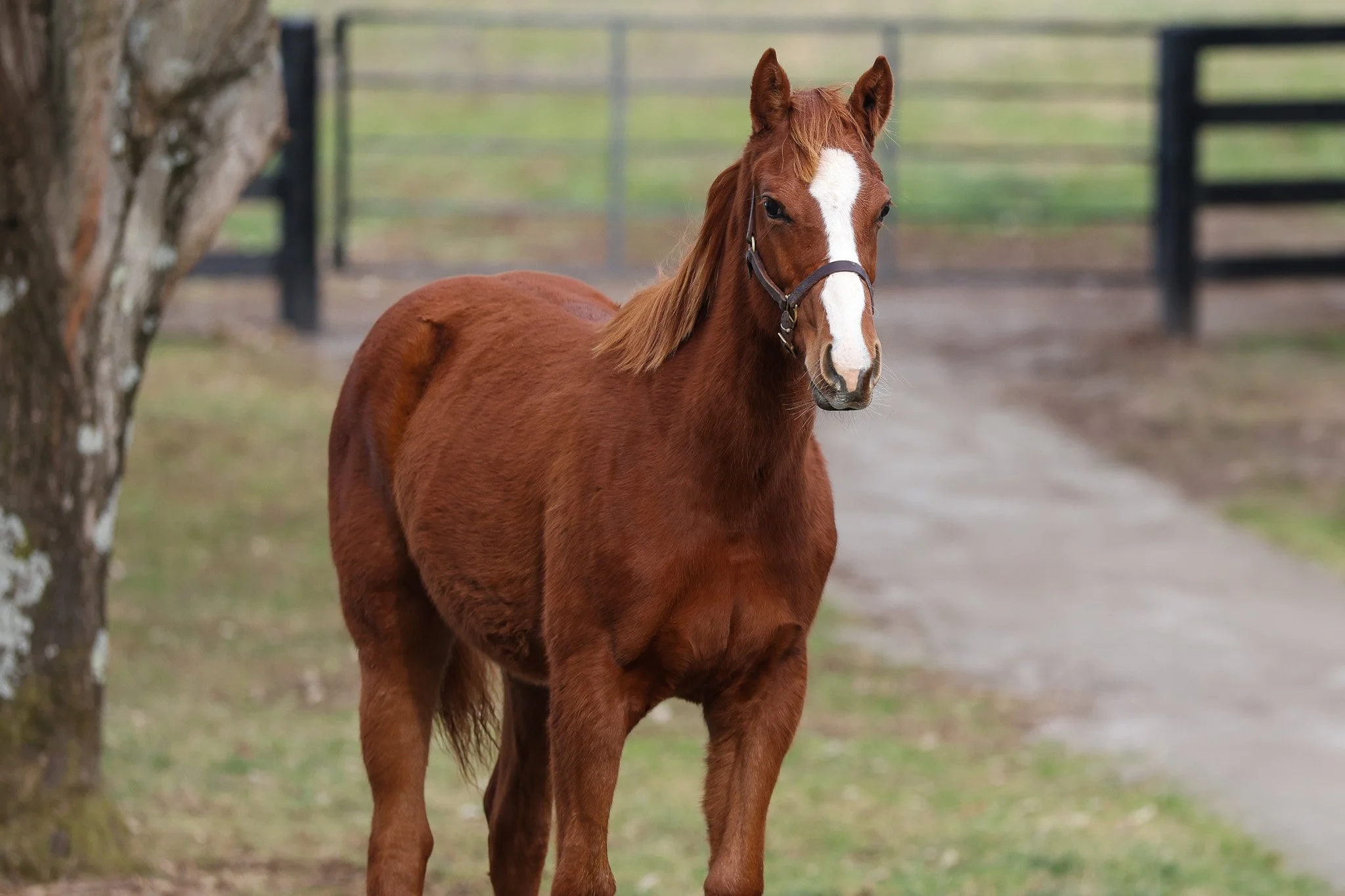 Justify / Touching Beauty
