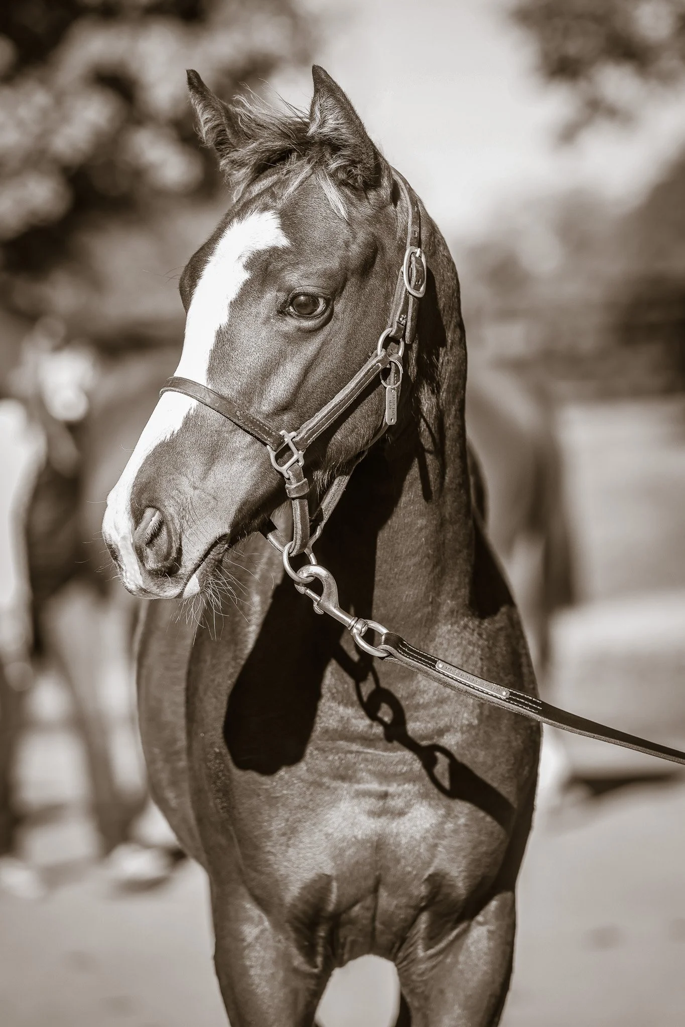 25 Tabera barn 10.8.25. 2.jpg