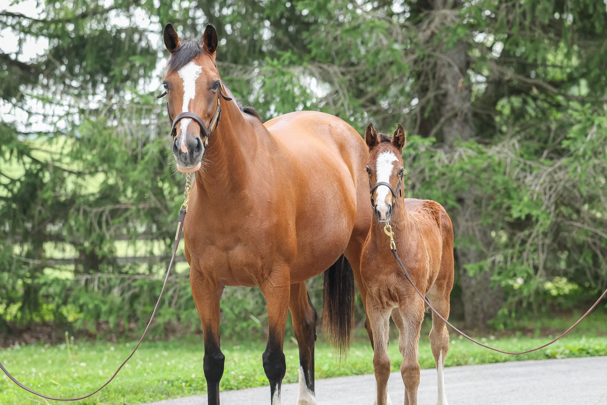 25 Tabera HS 6.13.25.jpg