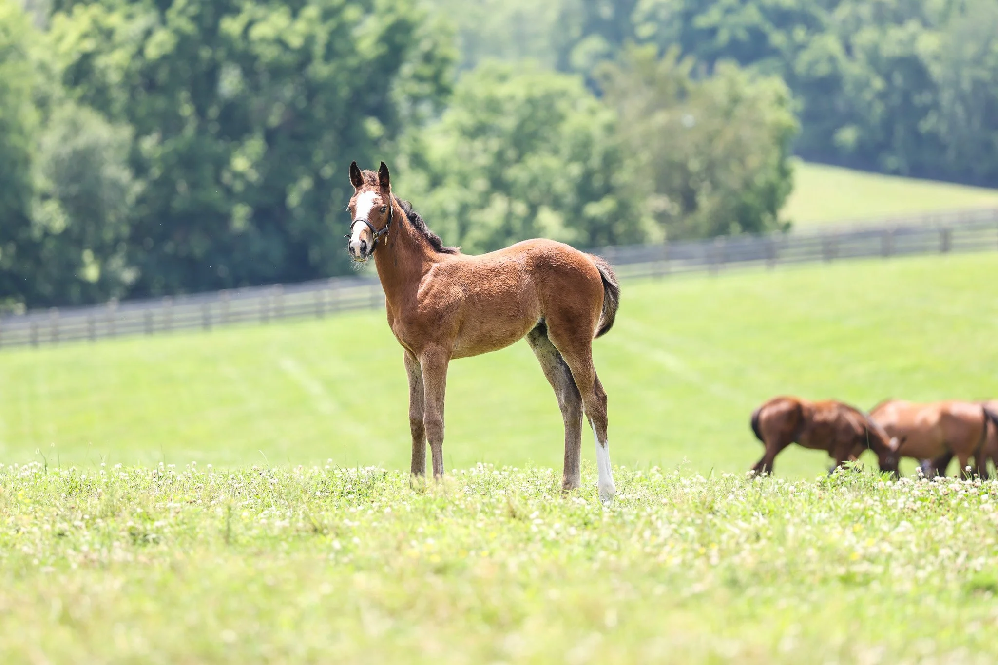 25 Tabera PP 7.3.25  .jpg