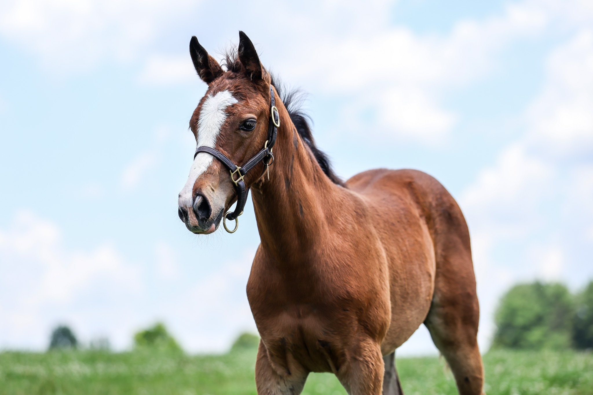 25 Tabera PP 7.3.25  2.jpg