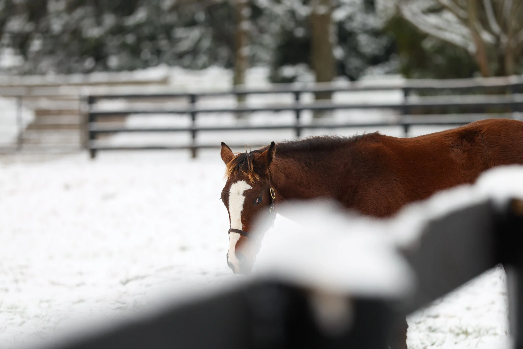 25 Tabera PP 12.2.25. 4.jpg