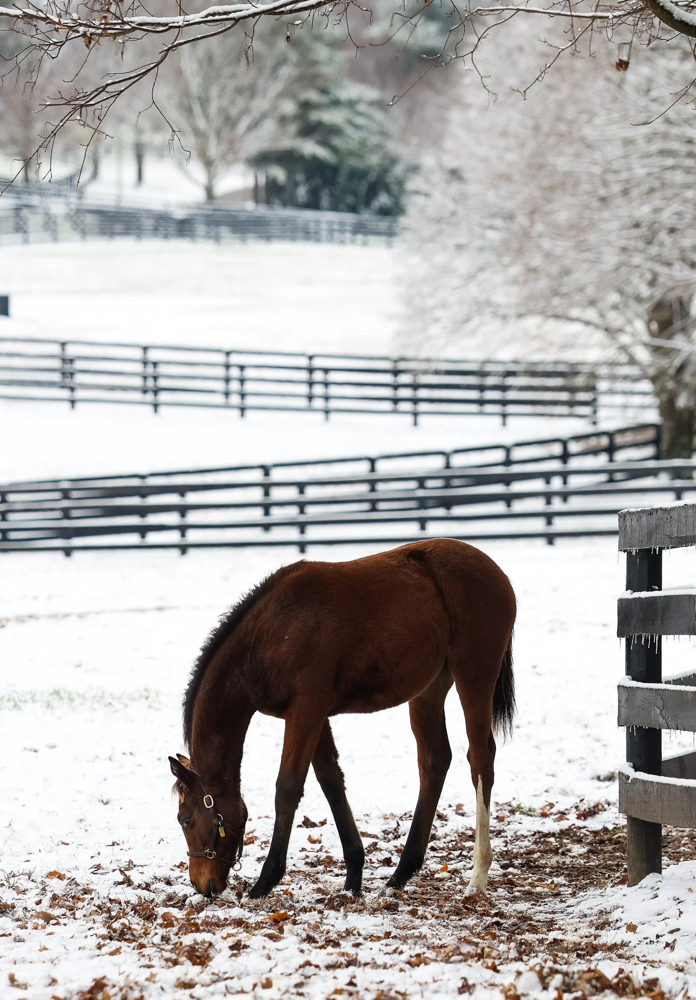 25 Tabera PP 12.2.25. 3.jpg