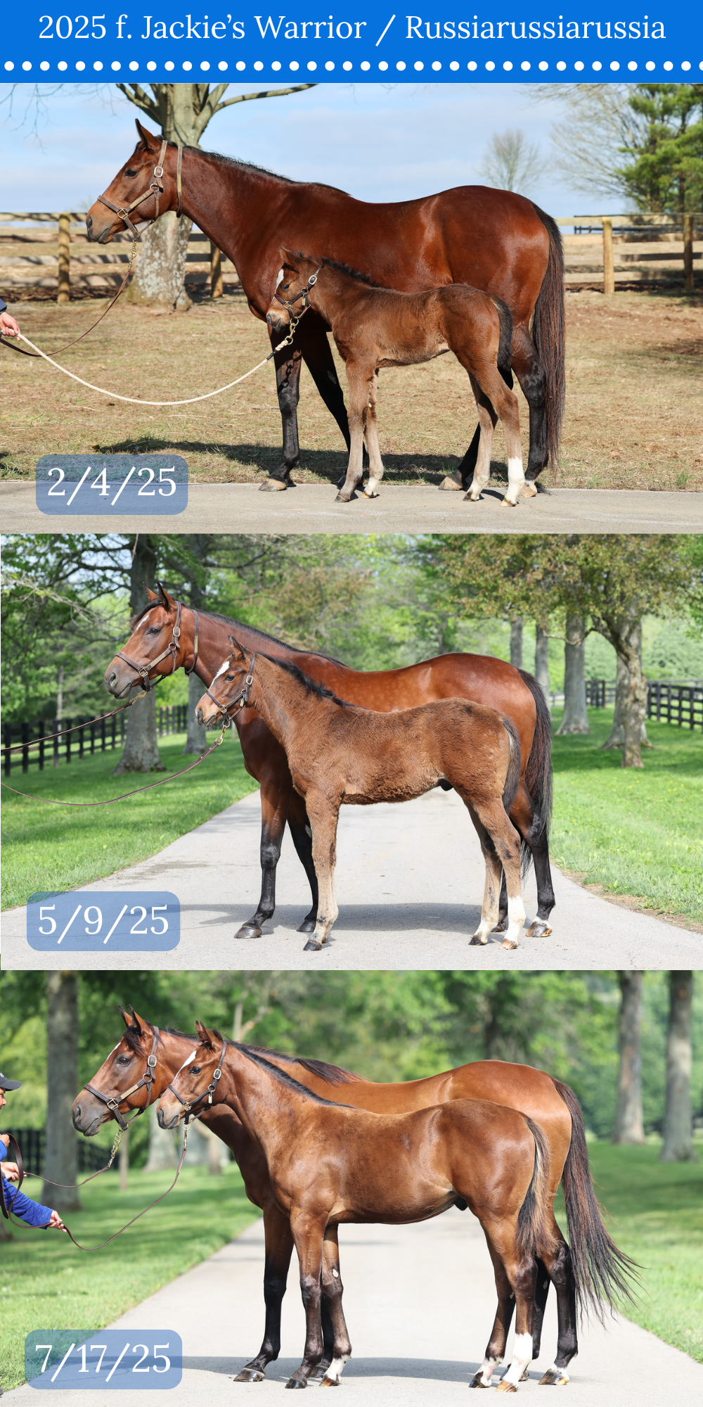 3 CONFORMATION COMPARISON.png