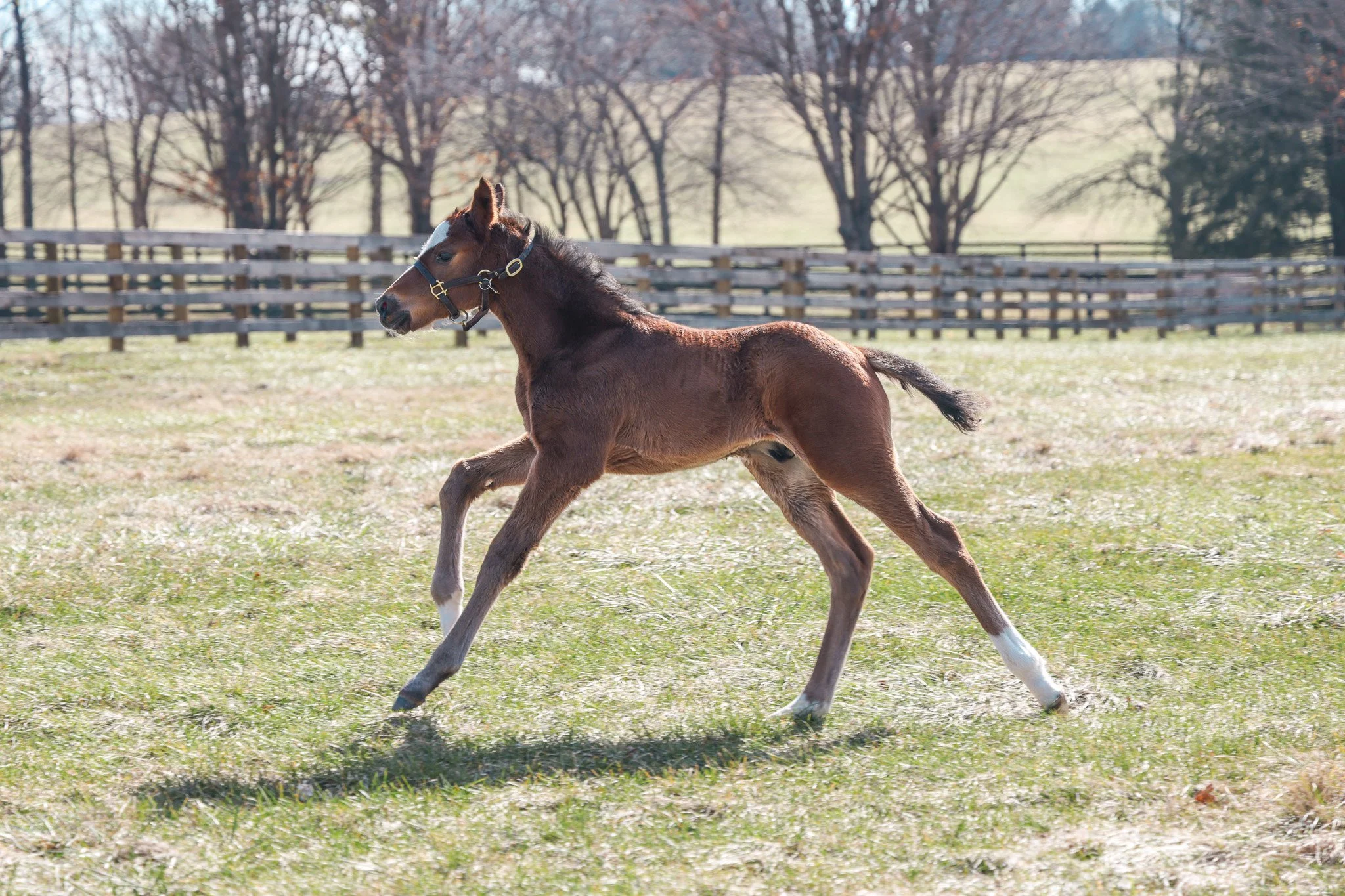 25 Russiarussiarussi PP 2.4.25  6.jpg