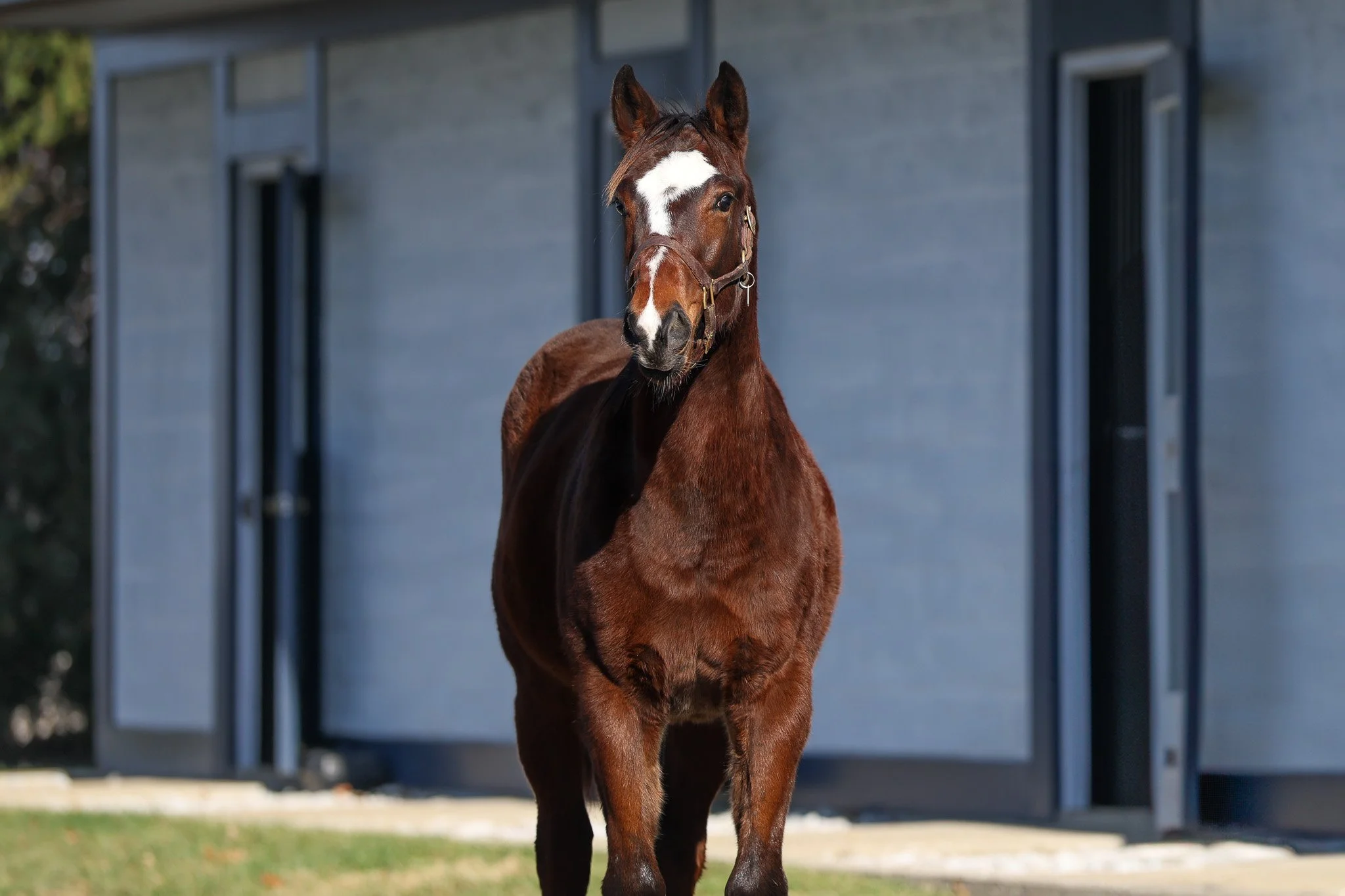 25 Russiarussiarussia HS 12.17.25.jpg