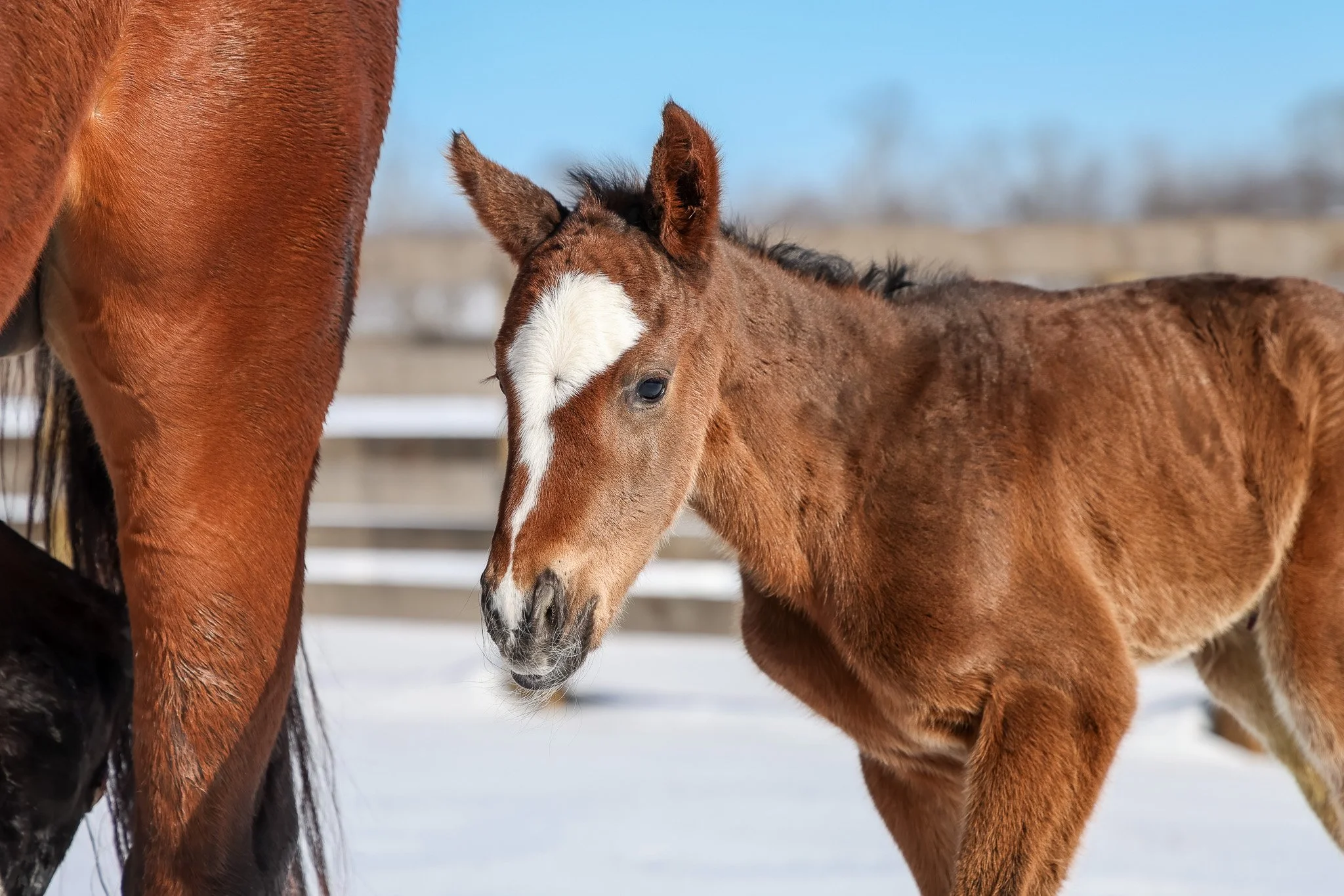 25 Russiarussiarussia PP 1.17.25. 3.jpg