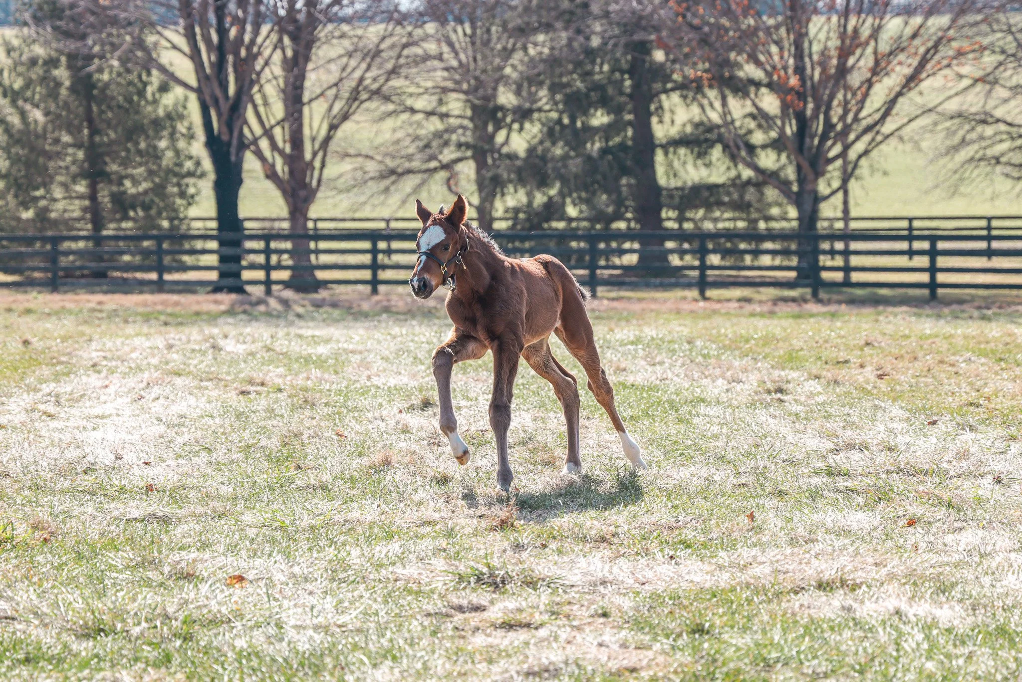 25 Russiarussiarussia PP 2.4.25. 5.jpg
