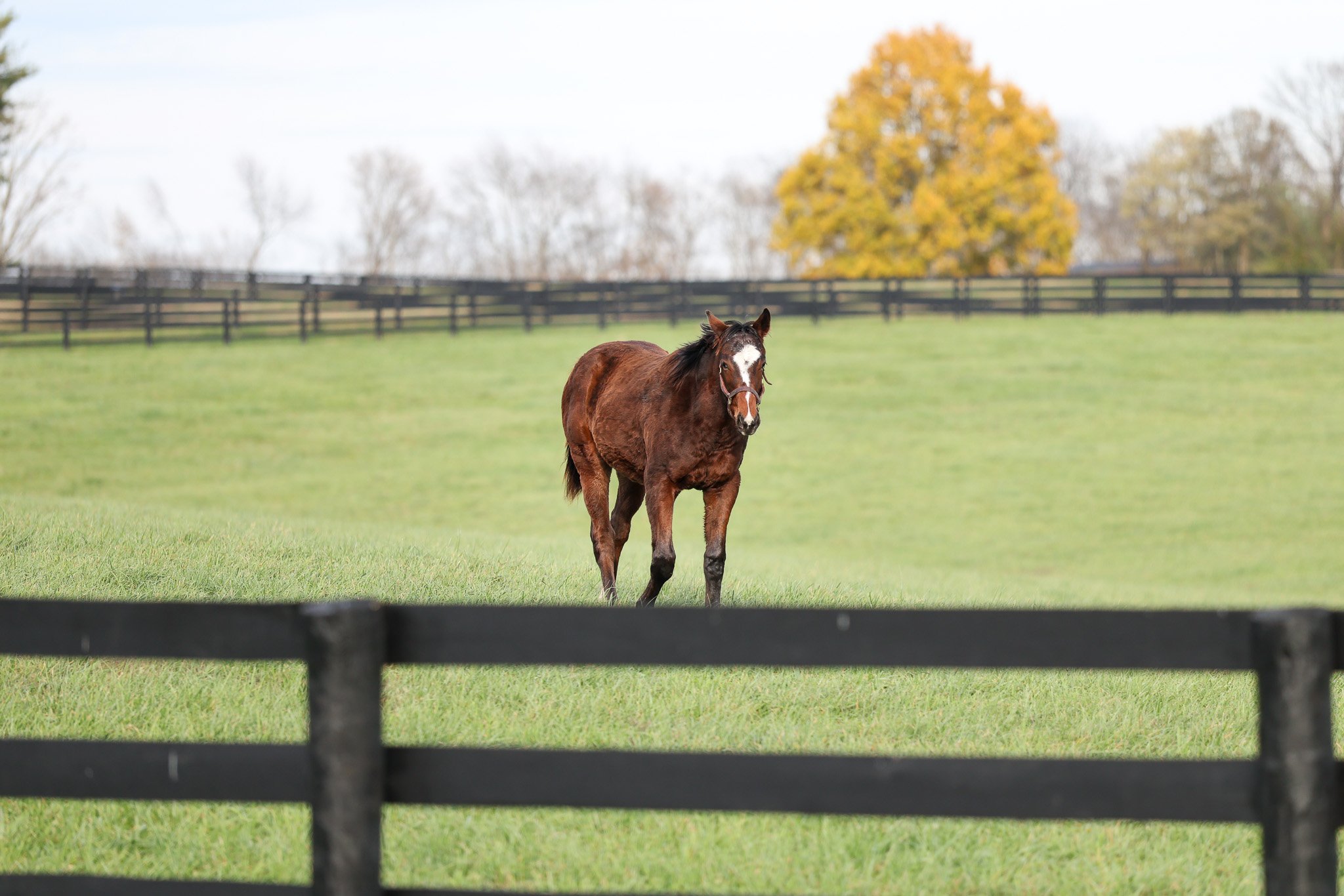 25 Russiarussiarussia PP 11.11.25  2.jpg