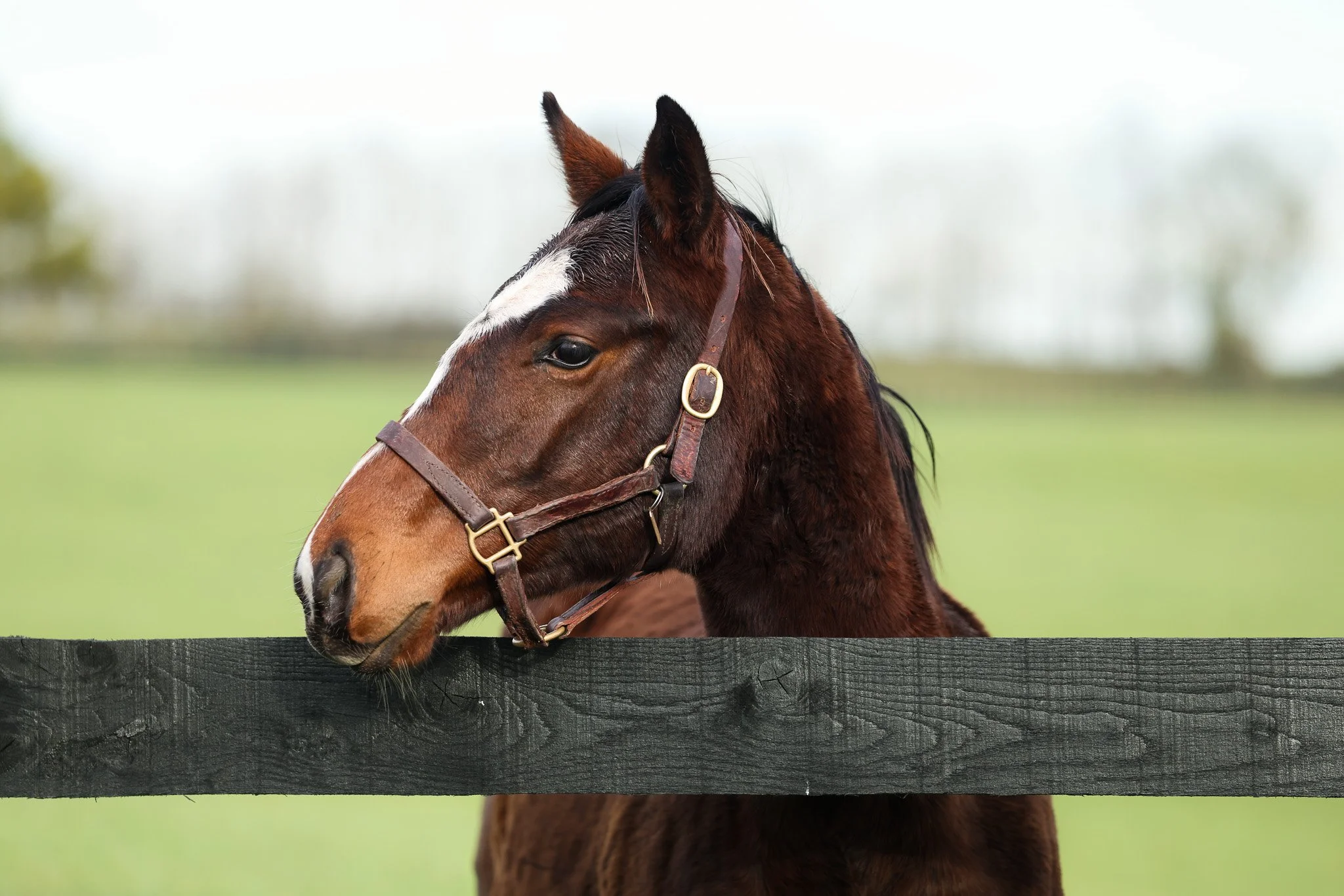 25 Russiarussiarussia PP 11.11.25  3.jpg