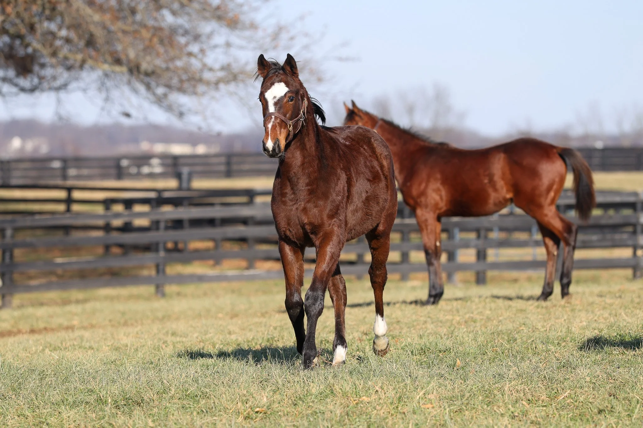 25 Russiarussiarussia PP 11.2025. 4.jpg