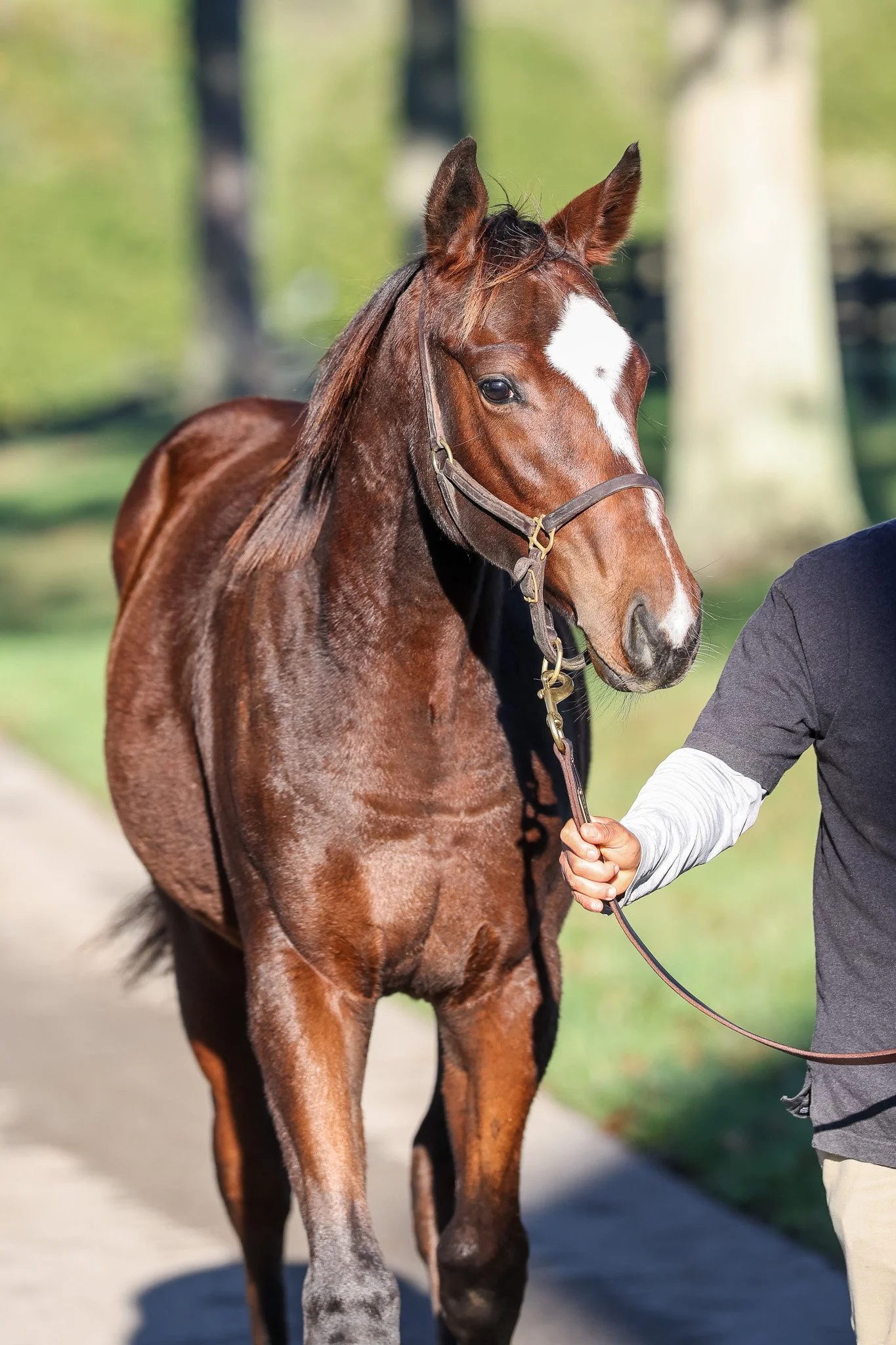 25 Russierussiarussia barn 10.8.25.jpg