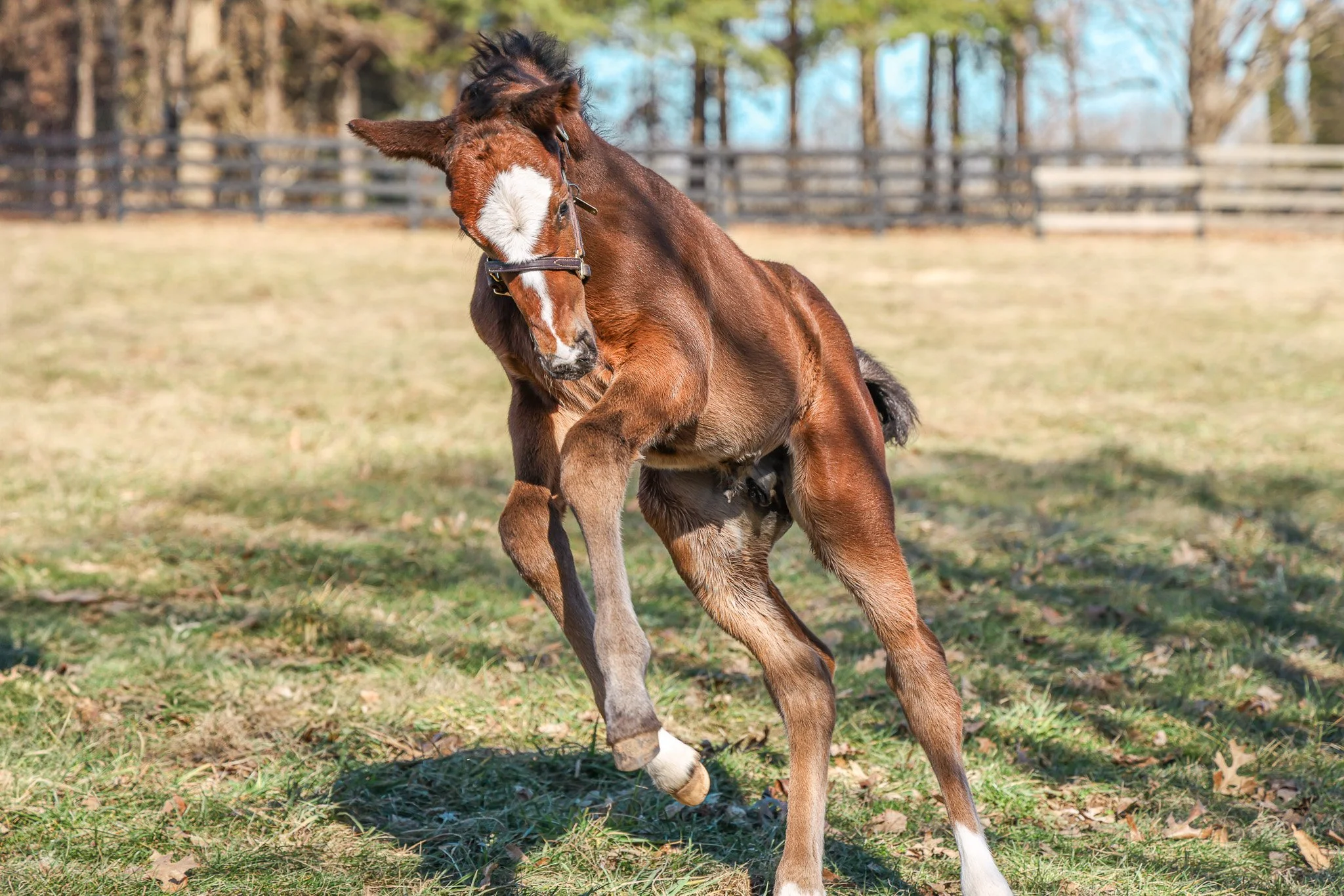 25 Russuarussiarussia PP 2.3.25 (8).jpg