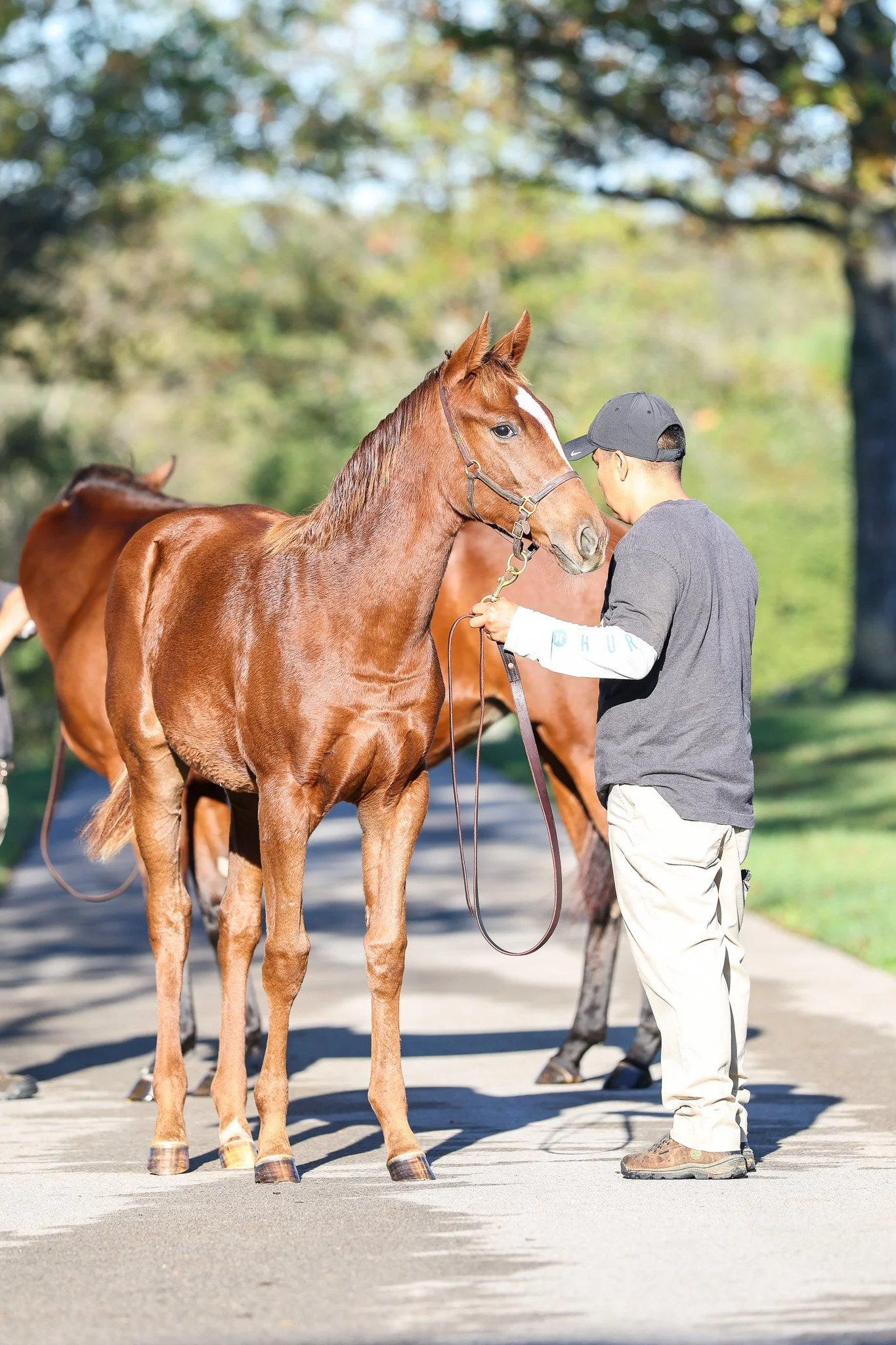 25 Ravenna barn 10.8.25.jpg