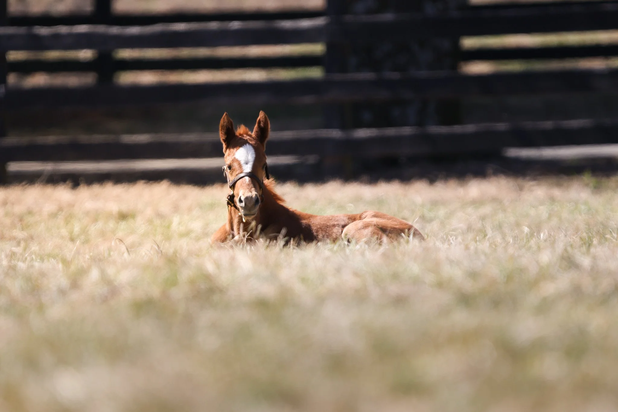 25 Ravenna PP 3.11.25  .2.jpg