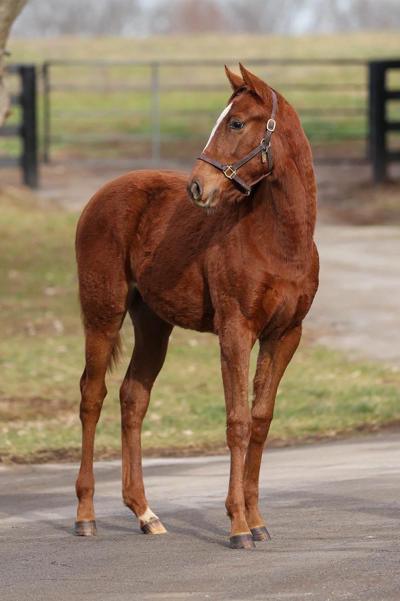 25 Ravenna HS 12.17.25.jpg