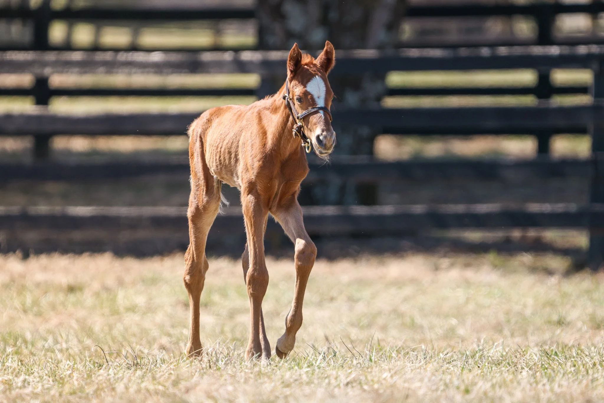 25 Ravenna PP 3.11.25  .3.jpg