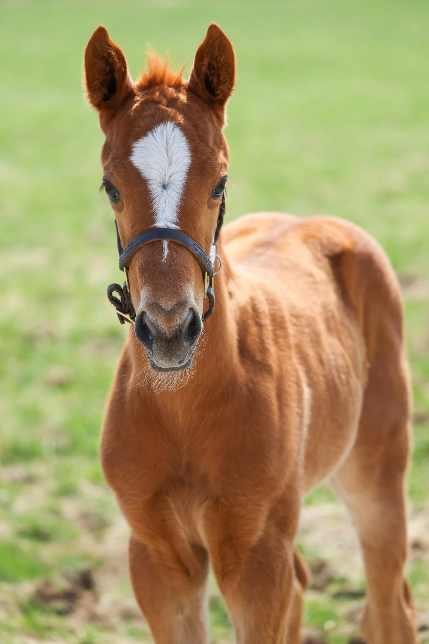 25 Ravenna PP 4.1.25  .4.jpg