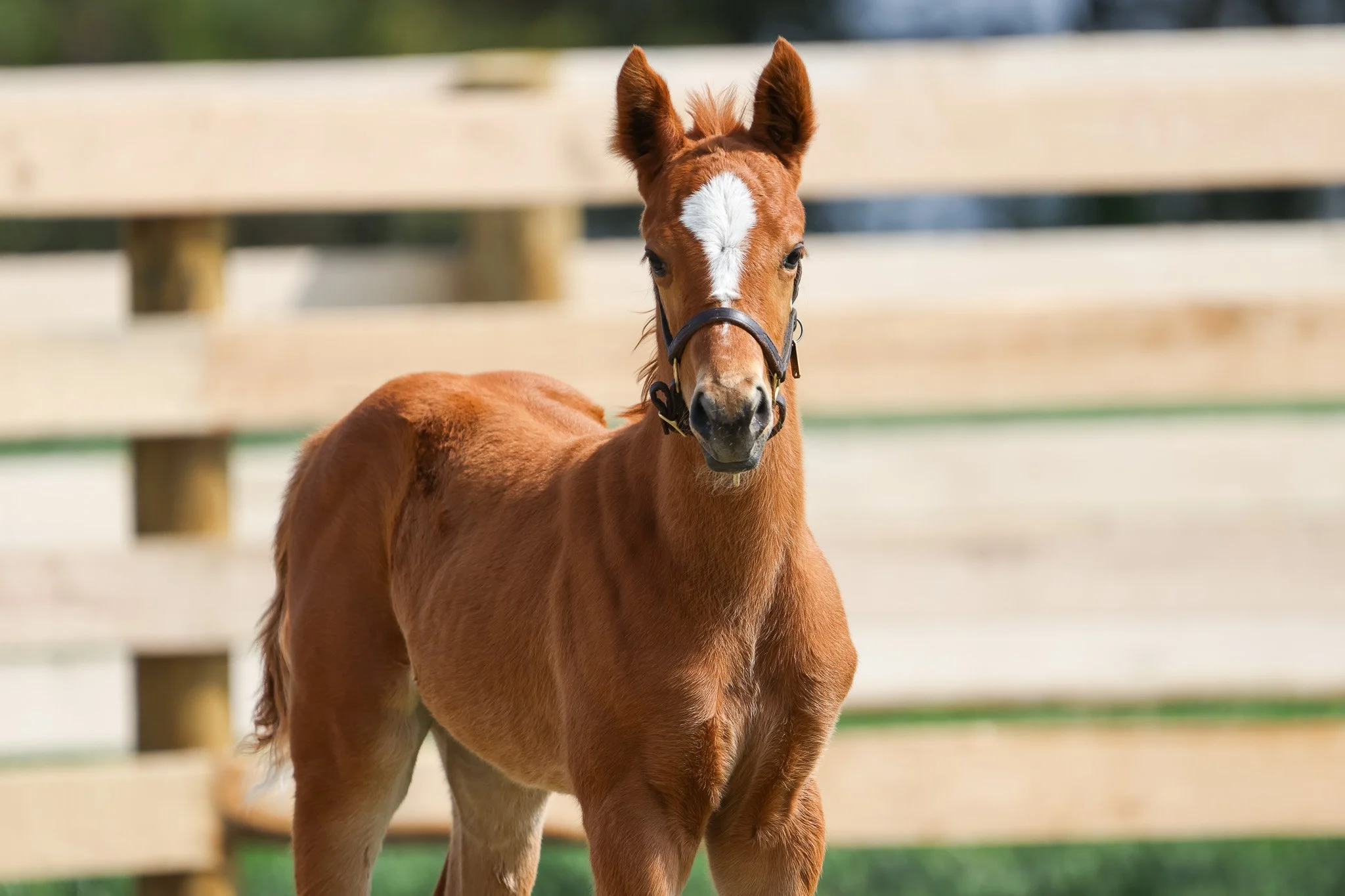 25 Ravenna PP 4.1.25  .5.jpg