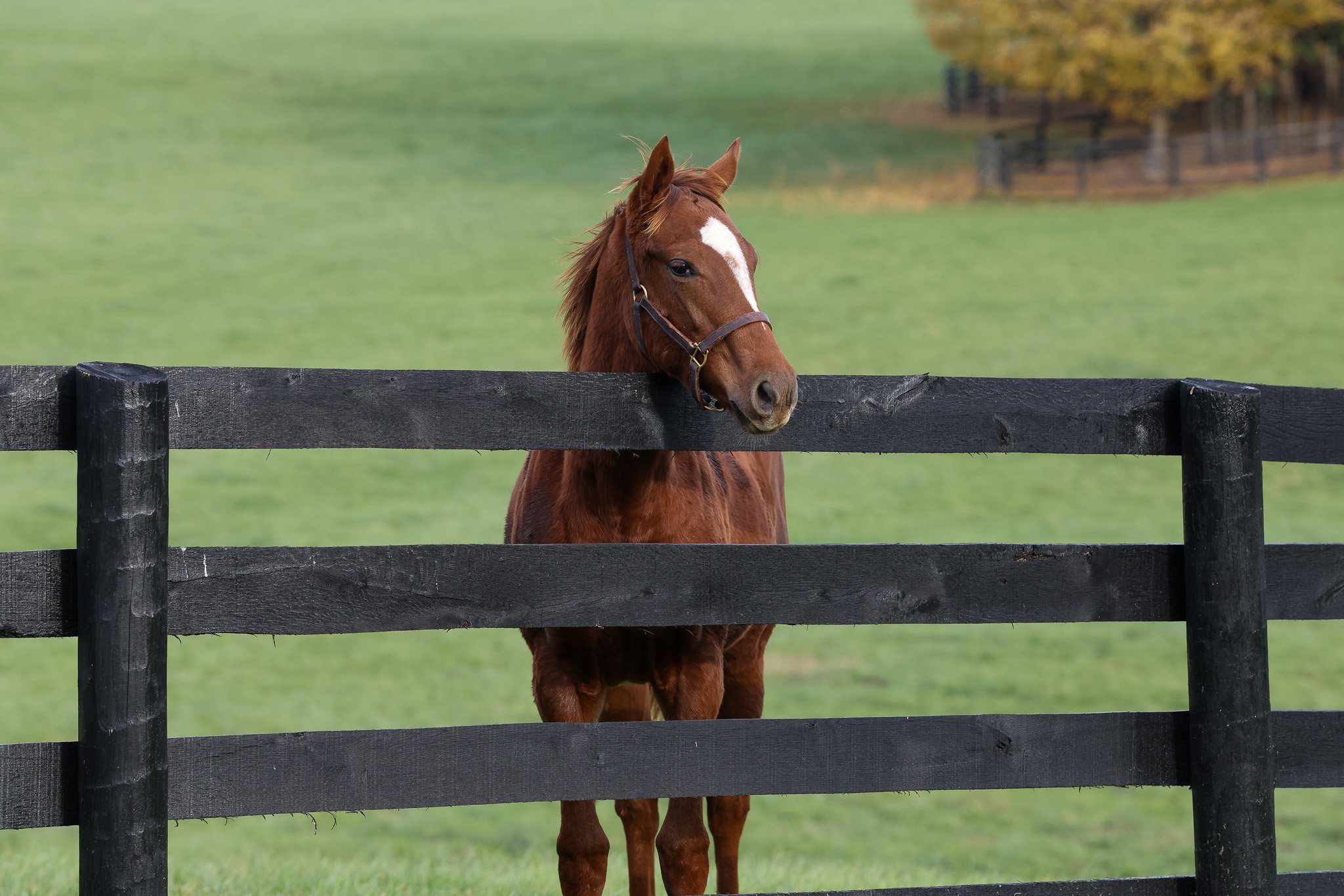 25 Ravenna PP 11.11.25. 2.jpg