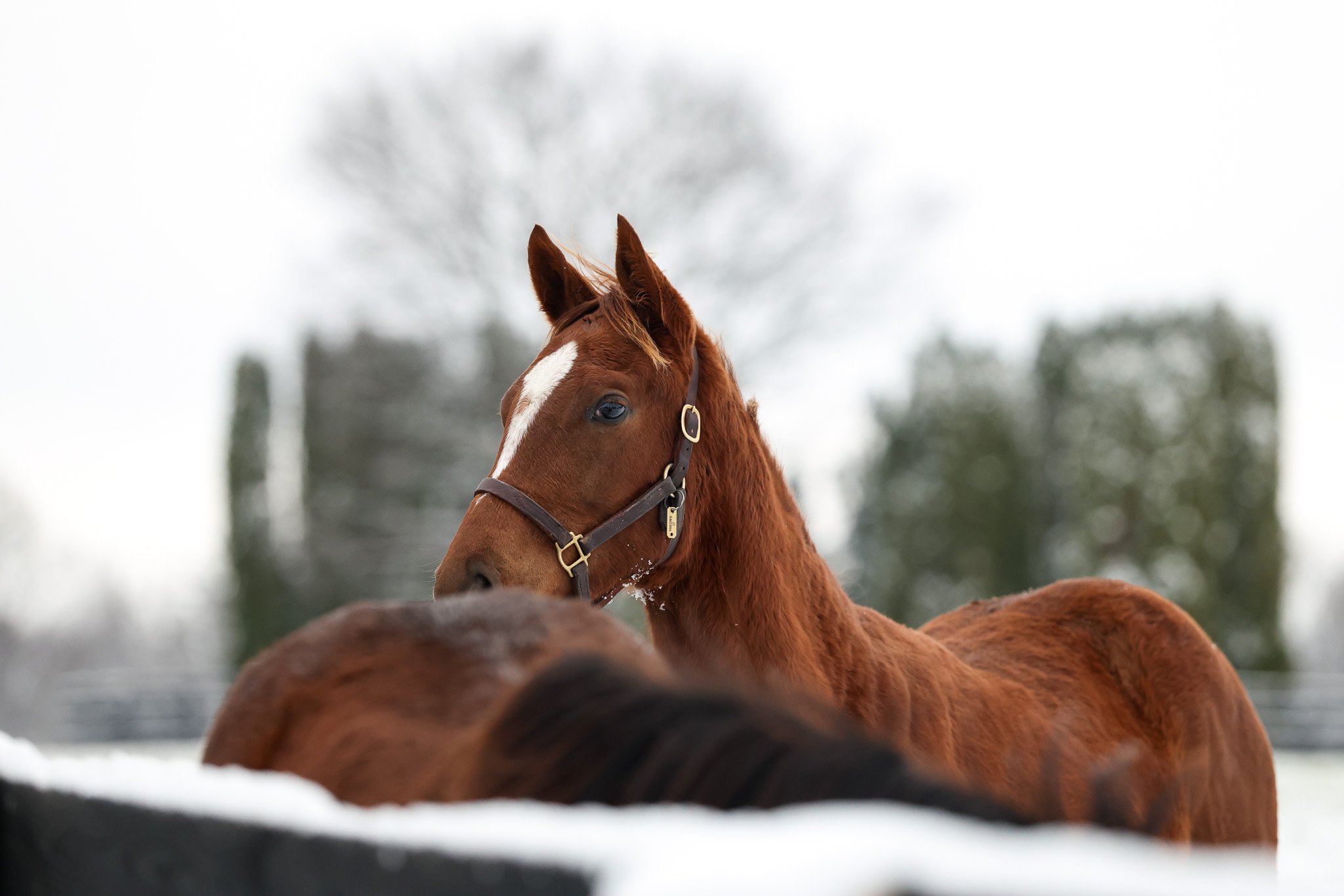 25 Ravenna PP 12.2.25. 5.jpg